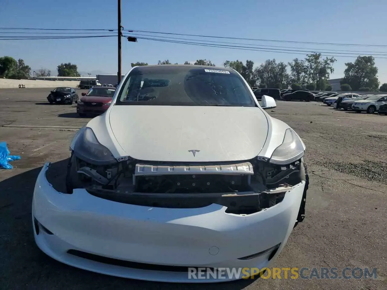 5 fotografías del automóvil dañado 7SAYGDEE2RF067145 TESLA MODEL Y 2024