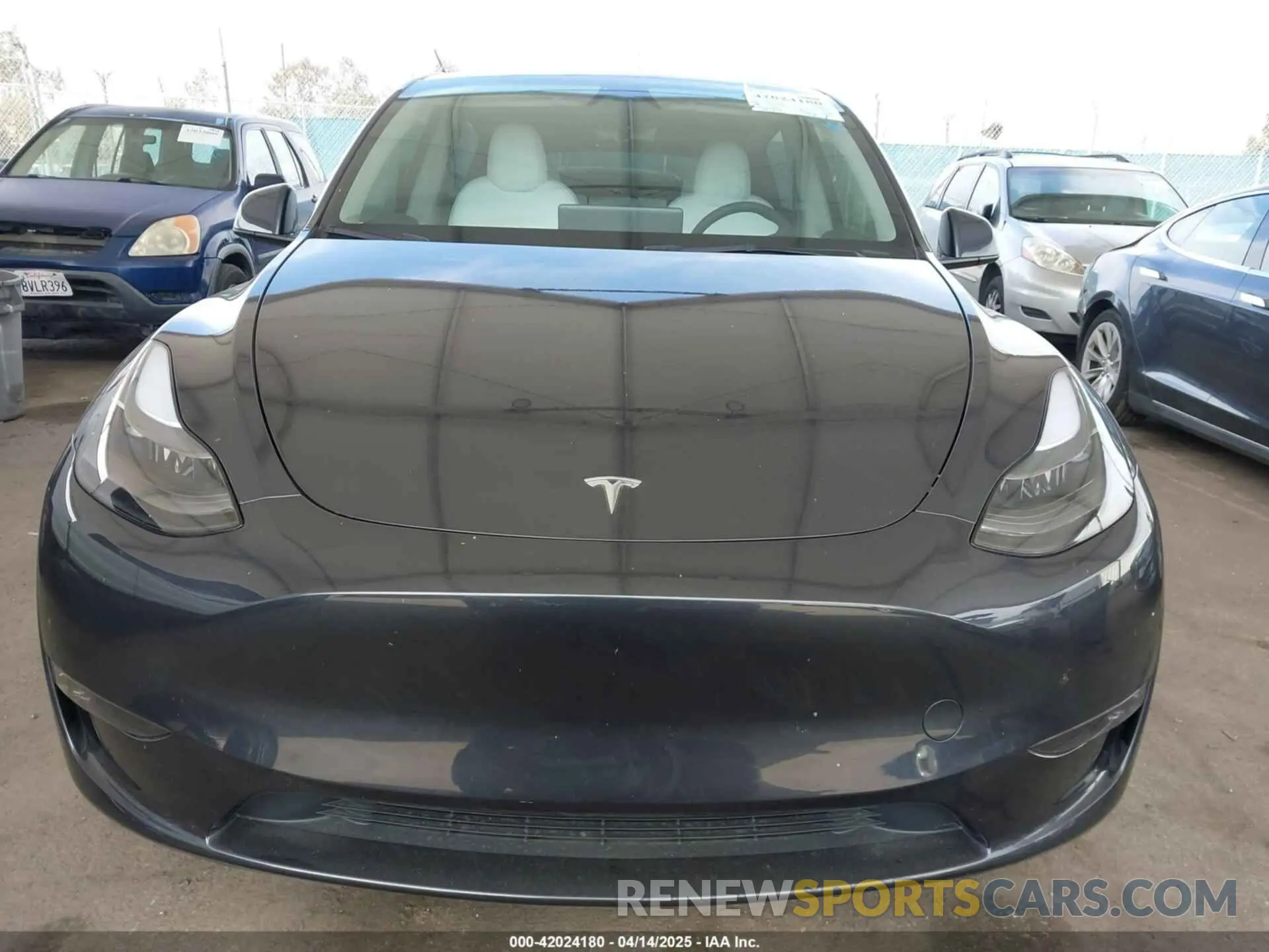 12 fotografías del automóvil dañado 7SAYGDEE2RF069588 TESLA MODEL Y 2024