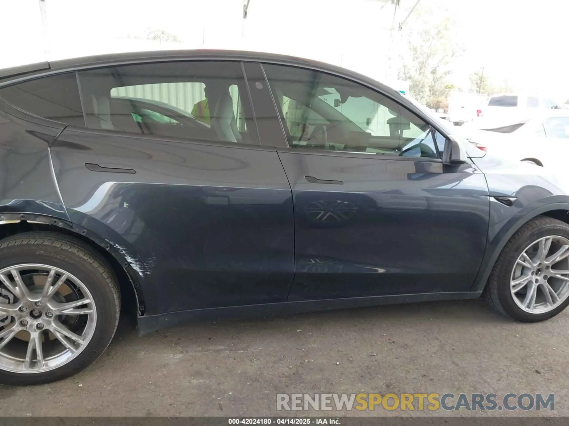 13 fotografías del automóvil dañado 7SAYGDEE2RF069588 TESLA MODEL Y 2024