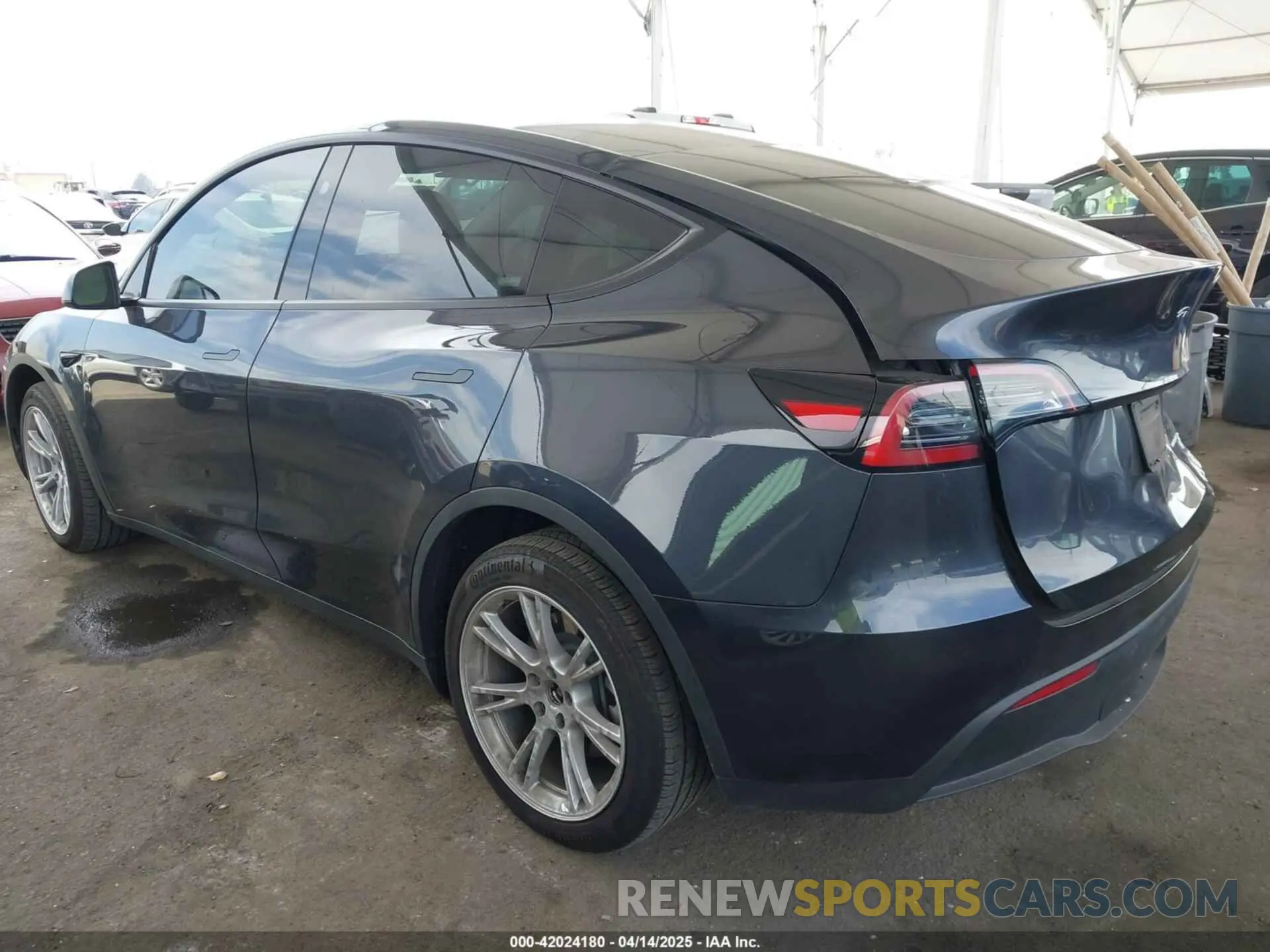 3 fotografías del automóvil dañado 7SAYGDEE2RF069588 TESLA MODEL Y 2024