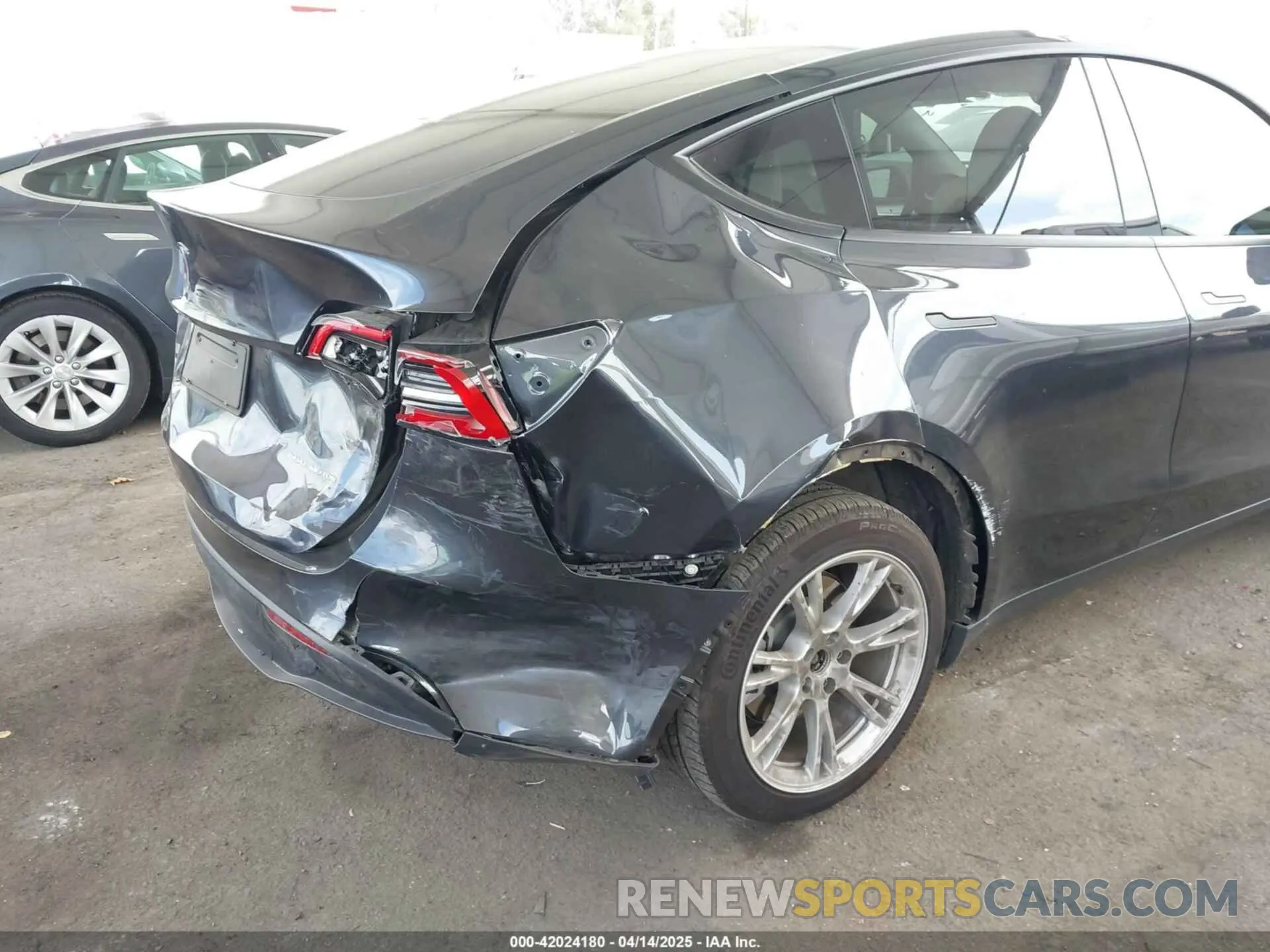 6 fotografías del automóvil dañado 7SAYGDEE2RF069588 TESLA MODEL Y 2024