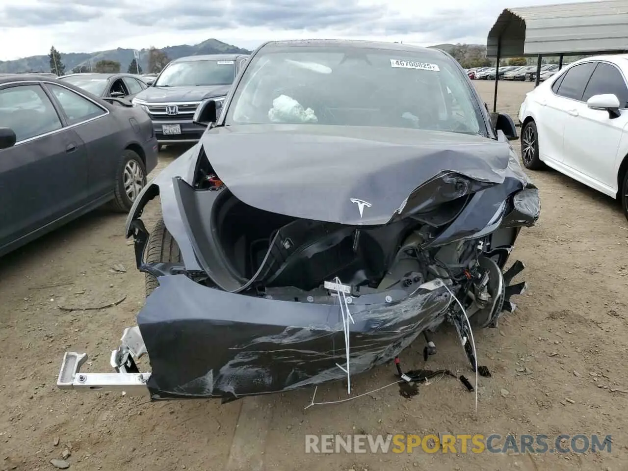 5 fotografías del automóvil dañado 7SAYGDEE2RF124380 TESLA MODEL Y 2024
