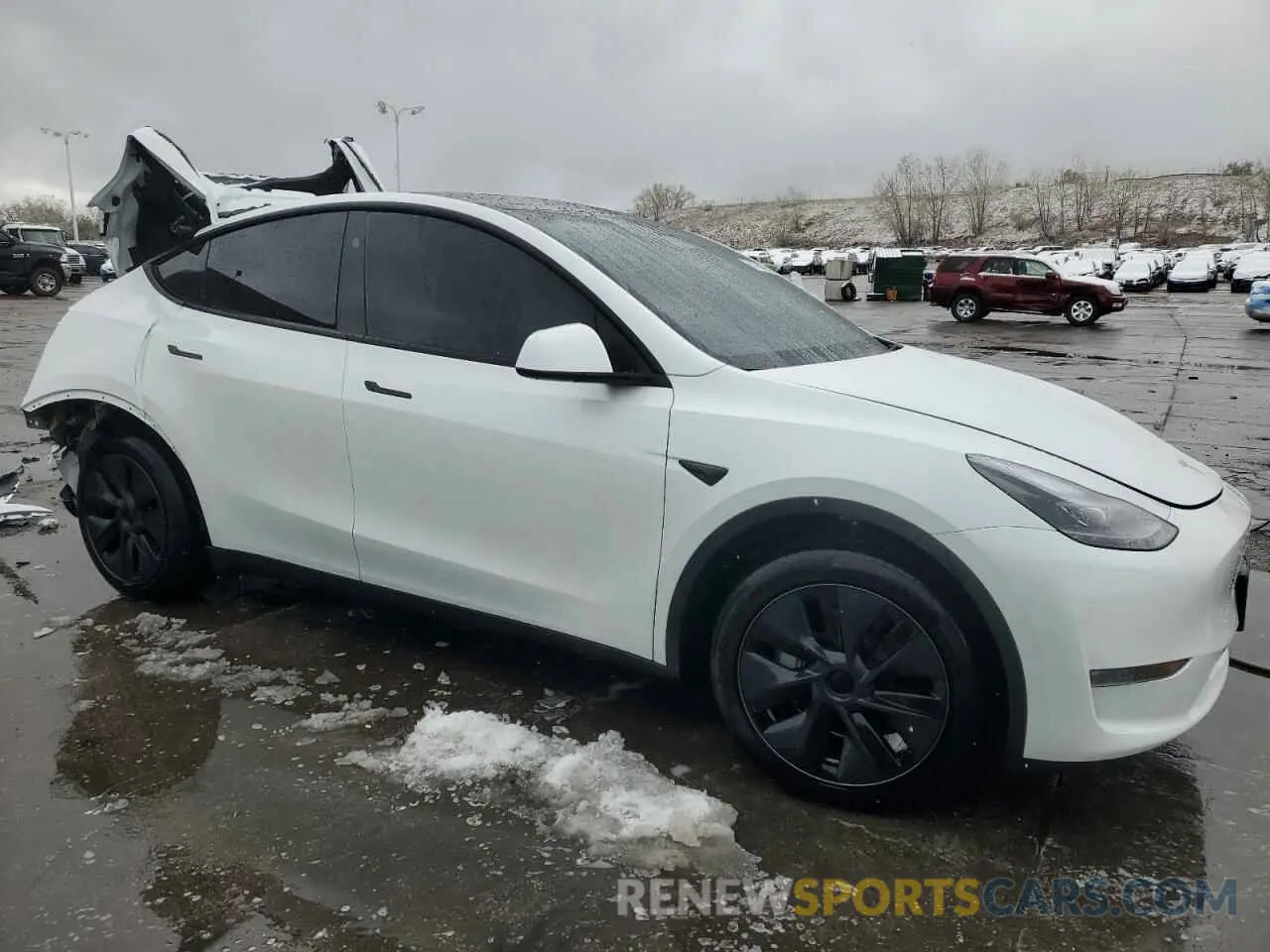 4 fotografías del automóvil dañado 7SAYGDEE2RF160327 TESLA MODEL Y 2024