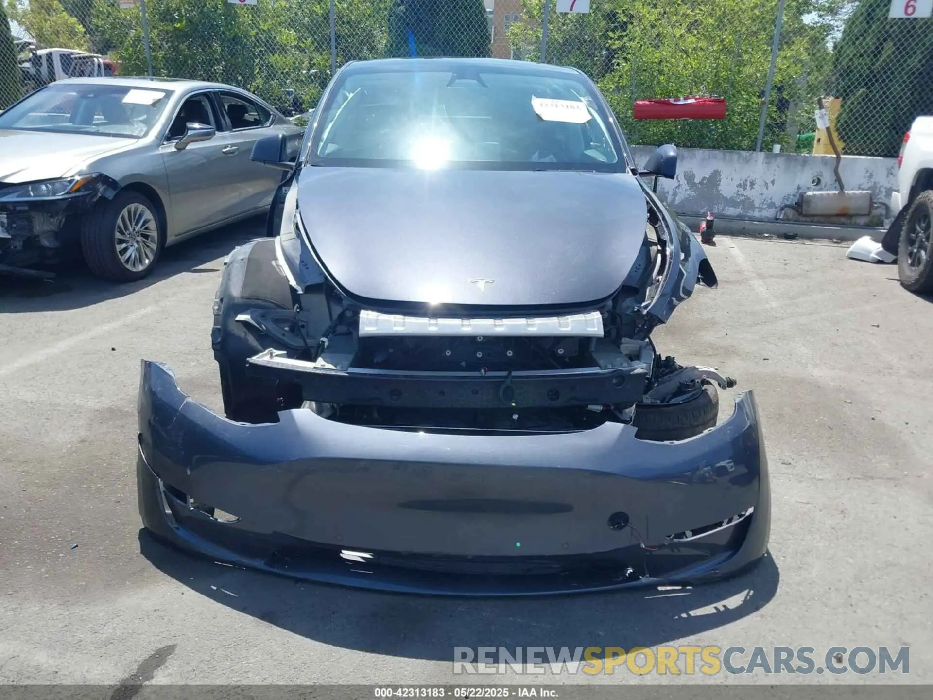 12 fotografías del automóvil dañado 7SAYGDEE2RF165012 TESLA MODEL Y 2024