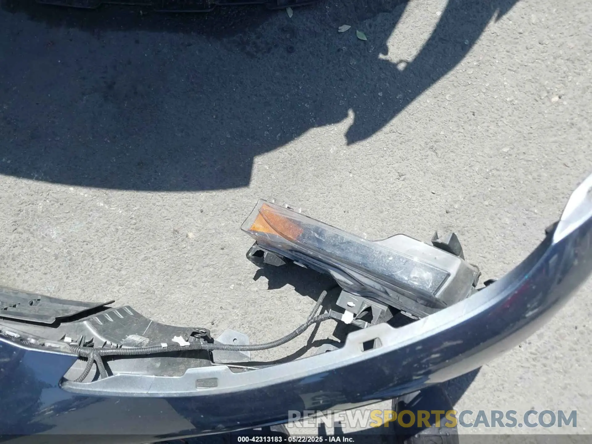 19 fotografías del automóvil dañado 7SAYGDEE2RF165012 TESLA MODEL Y 2024