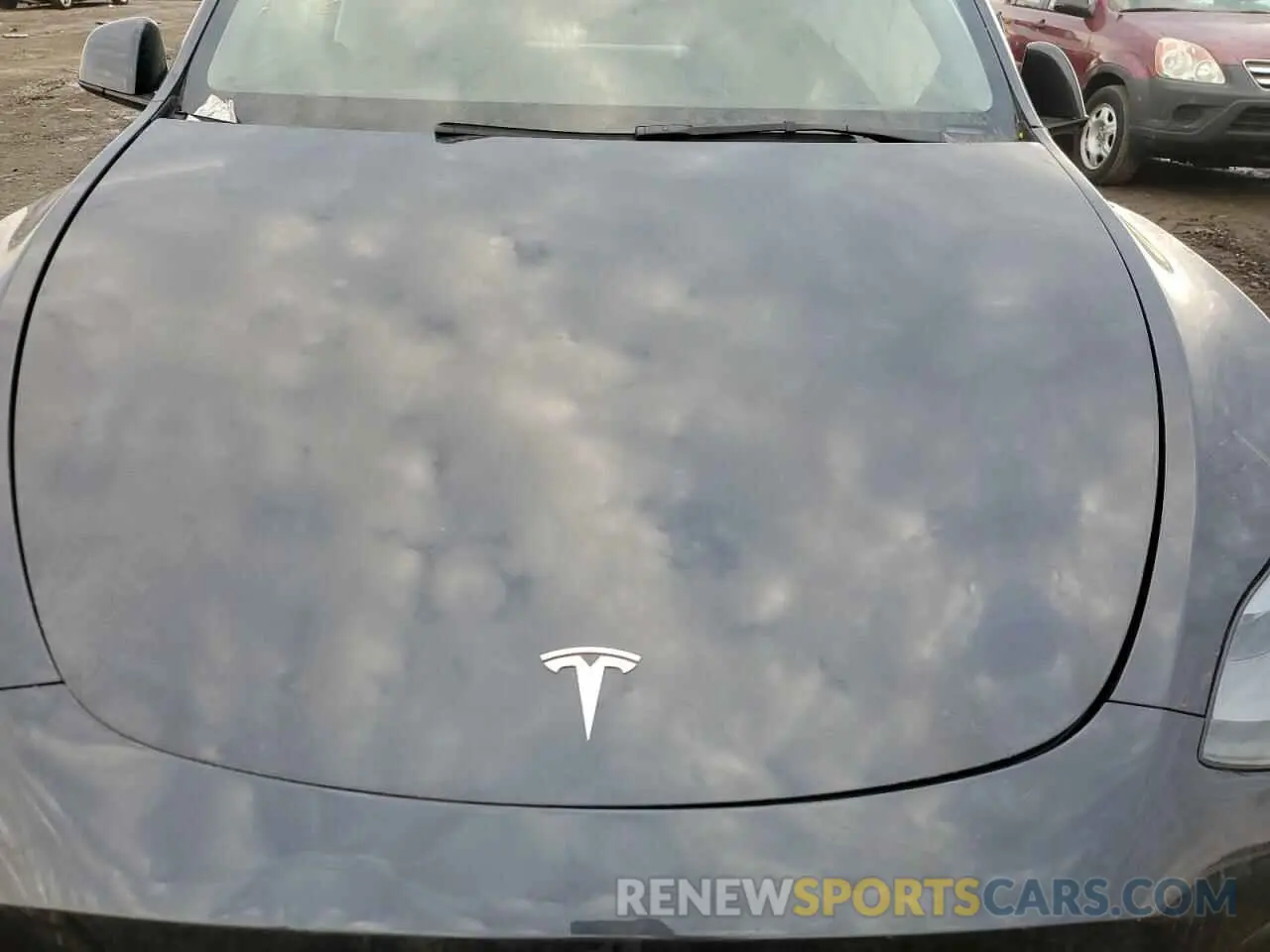 12 fotografías del automóvil dañado 7SAYGDEE2RF199662 TESLA MODEL Y 2024