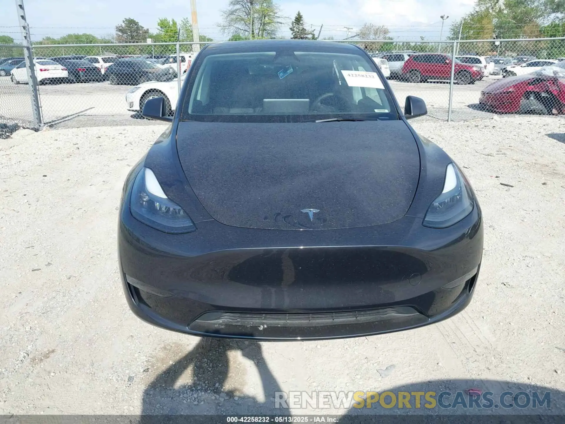 12 fotografías del automóvil dañado 7SAYGDEE2RF992489 TESLA MODEL Y 2024