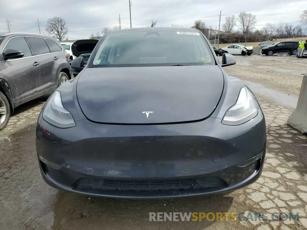 5 fotografías del automóvil dañado 7SAYGDEE3RA244878 TESLA MODEL Y 2024