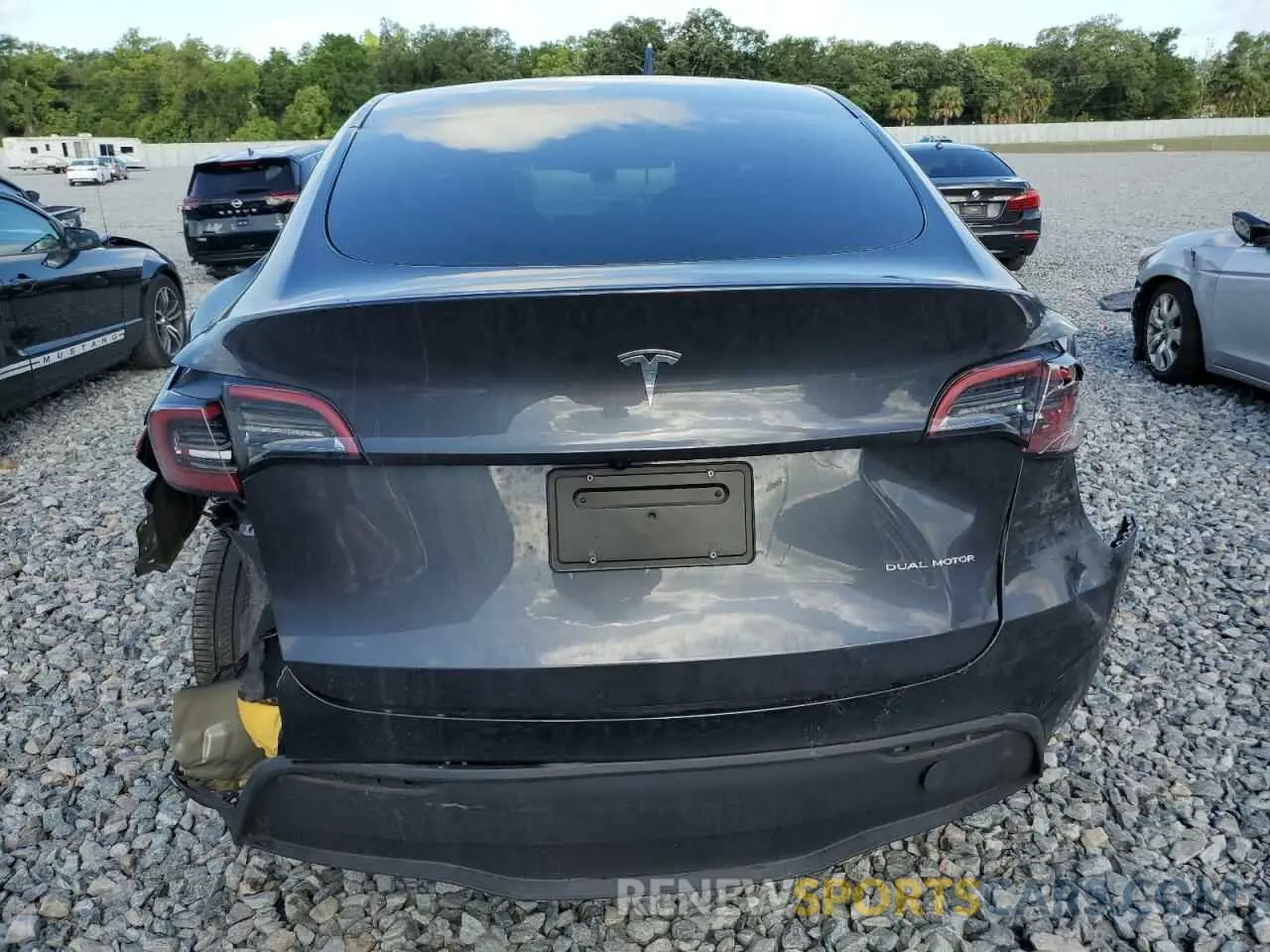6 fotografías del automóvil dañado 7SAYGDEE3RA249434 TESLA MODEL Y 2024