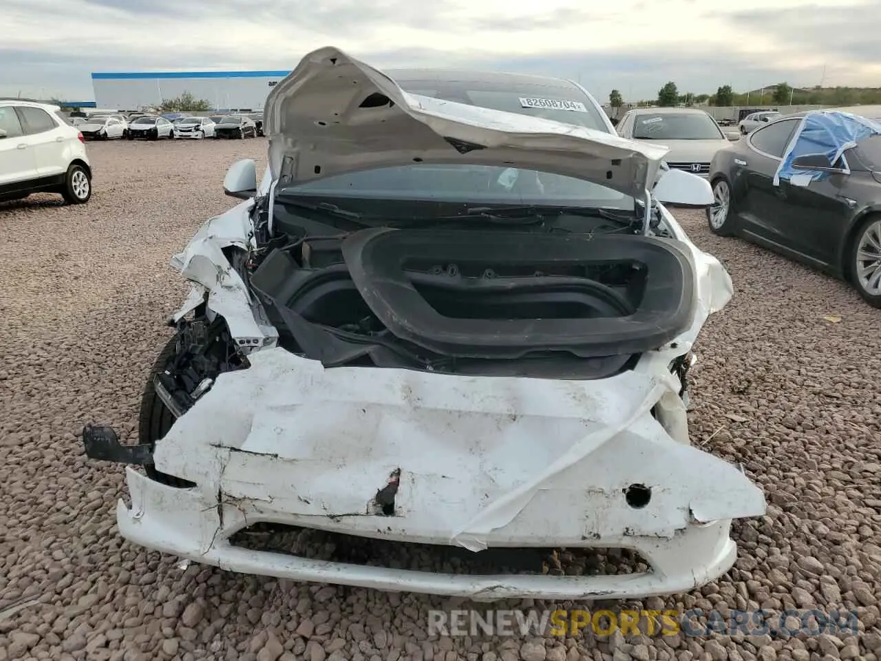 5 fotografías del automóvil dañado 7SAYGDEE3RA291800 TESLA MODEL Y 2024