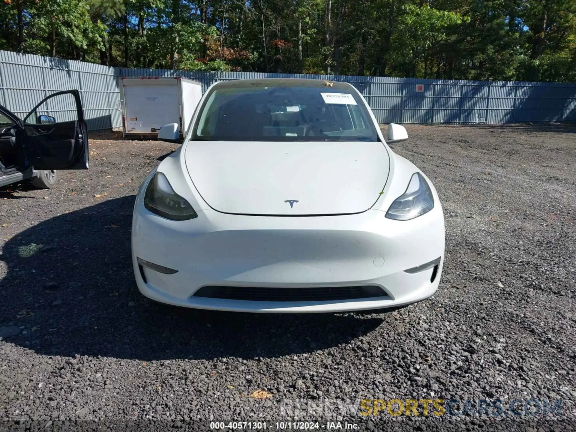 12 fotografías del automóvil dañado 7SAYGDEE3RF007794 TESLA MODEL Y 2024