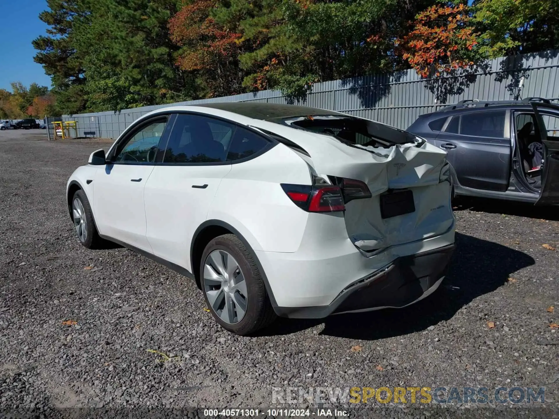 3 fotografías del automóvil dañado 7SAYGDEE3RF007794 TESLA MODEL Y 2024