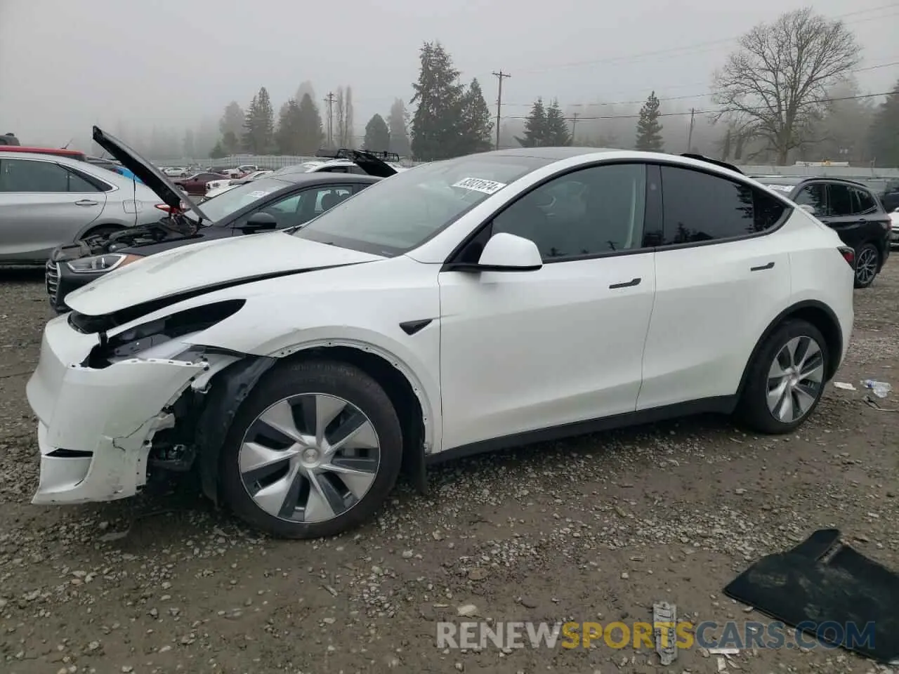 1 fotografías del automóvil dañado 7SAYGDEE3RF014812 TESLA MODEL Y 2024