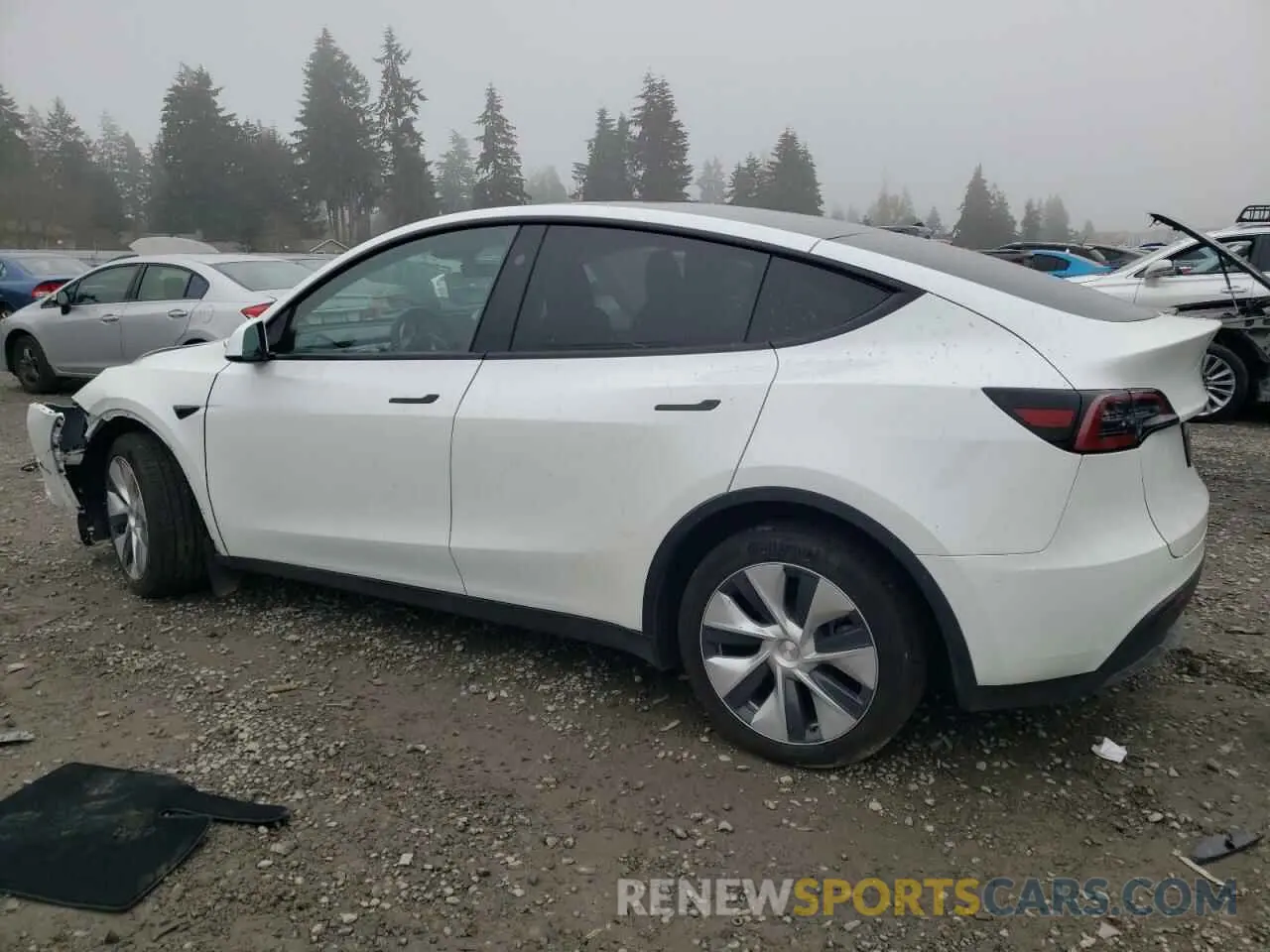2 fotografías del automóvil dañado 7SAYGDEE3RF014812 TESLA MODEL Y 2024