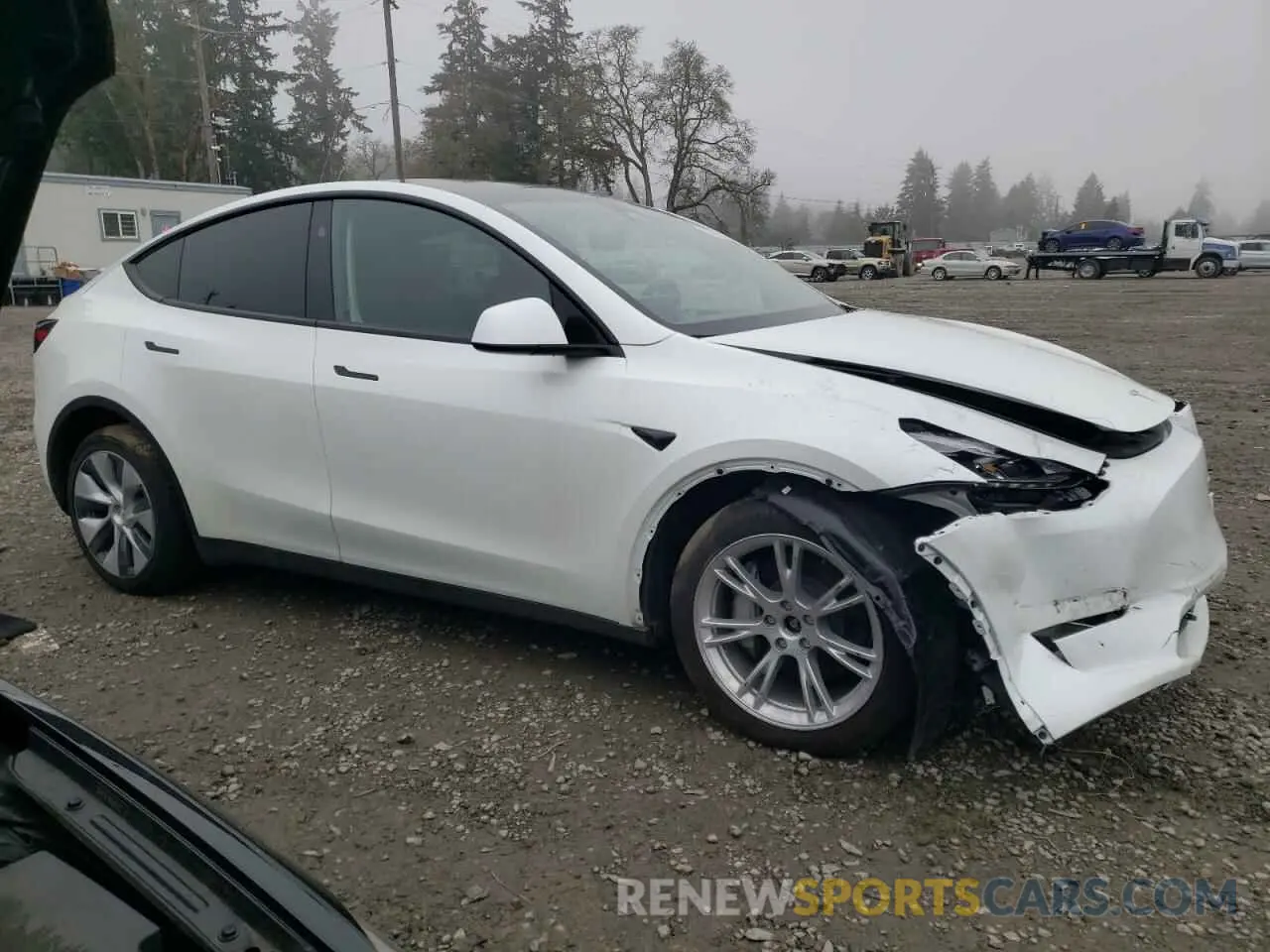 4 fotografías del automóvil dañado 7SAYGDEE3RF014812 TESLA MODEL Y 2024