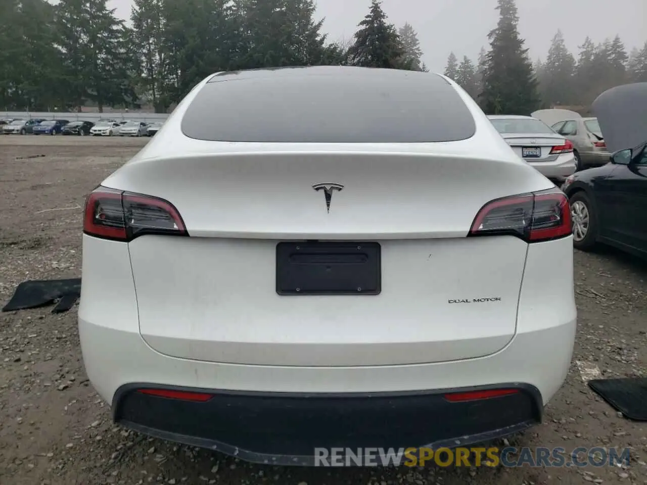 6 fotografías del automóvil dañado 7SAYGDEE3RF014812 TESLA MODEL Y 2024