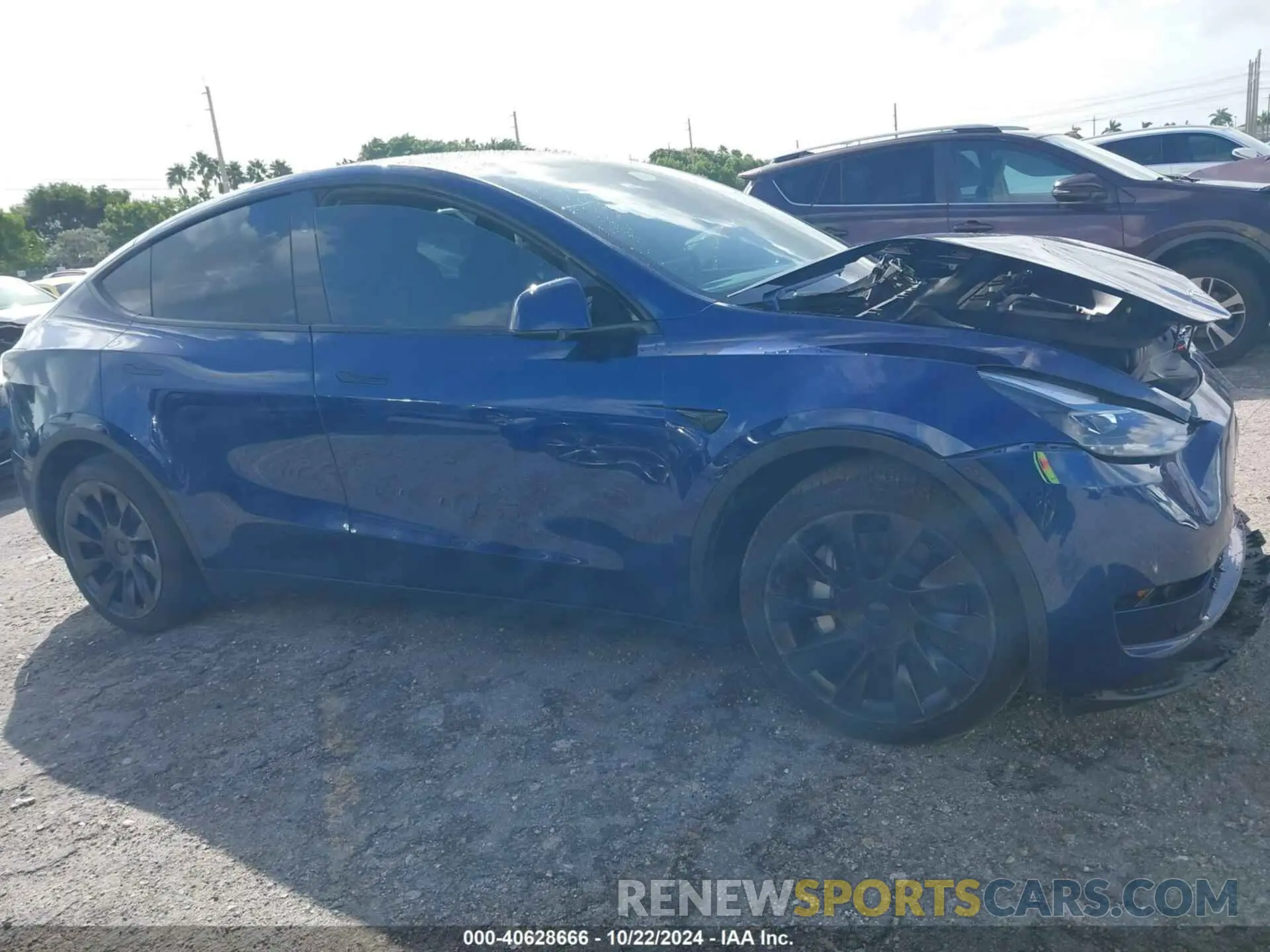 13 fotografías del automóvil dañado 7SAYGDEE4RA249149 TESLA MODEL Y 2024