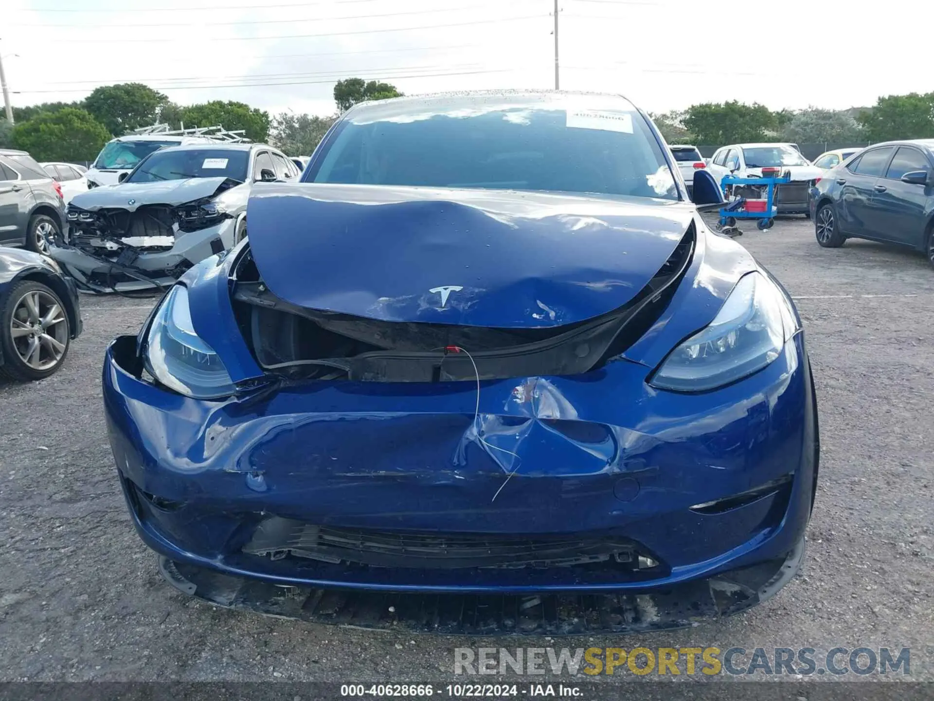 6 fotografías del automóvil dañado 7SAYGDEE4RA249149 TESLA MODEL Y 2024