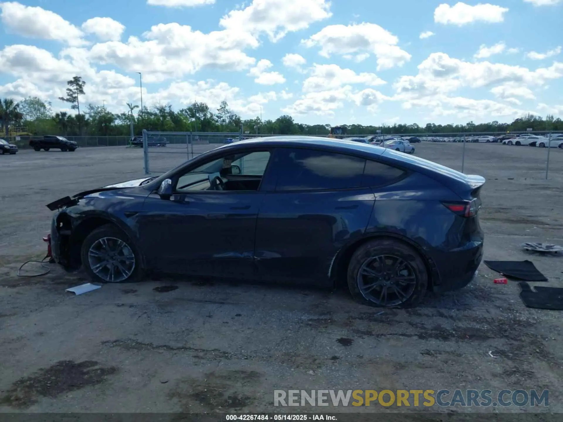 14 fotografías del automóvil dañado 7SAYGDEE4RA322410 TESLA MODEL Y 2024