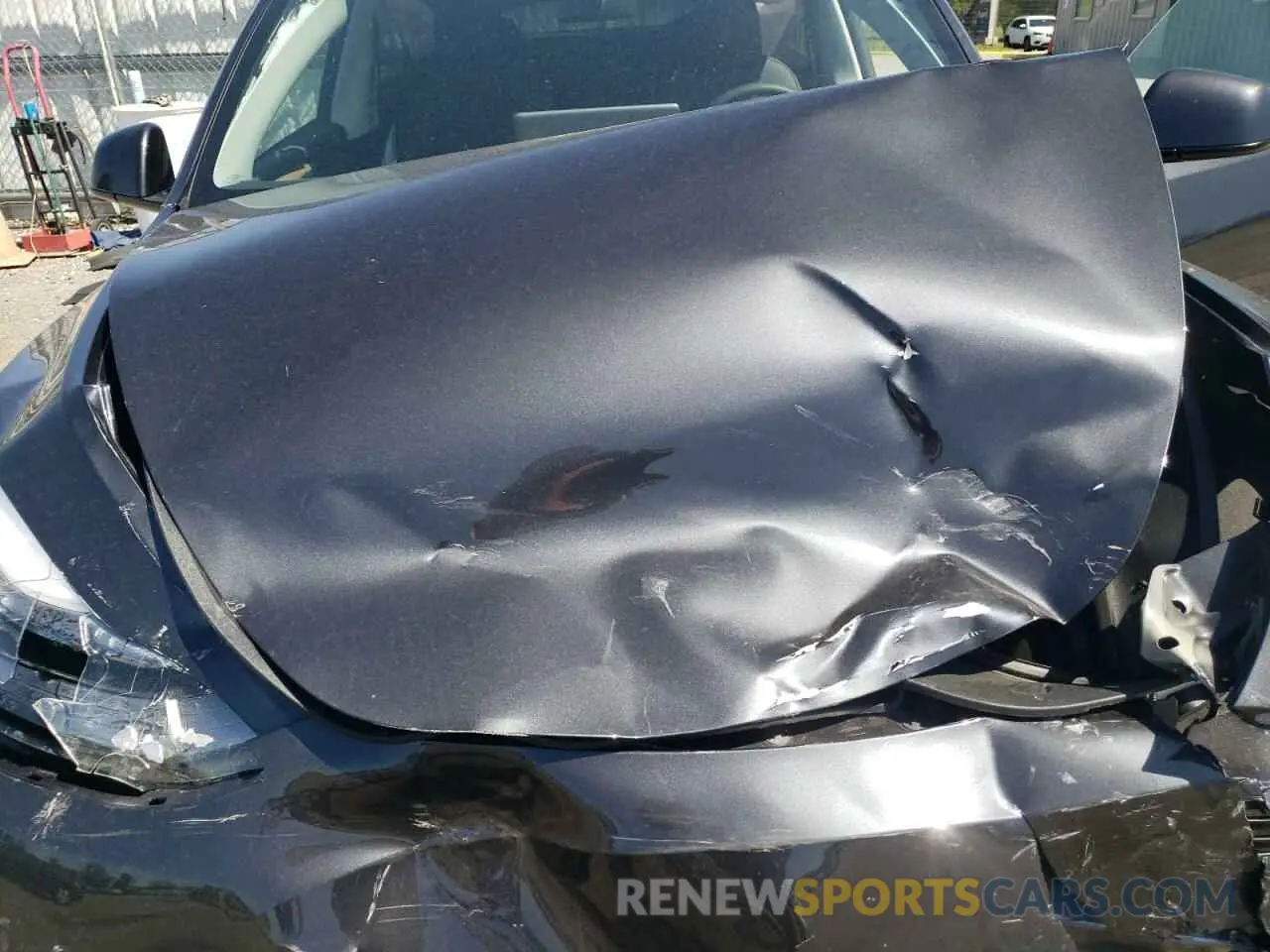 11 fotografías del automóvil dañado 7SAYGDEE4RA325095 TESLA MODEL Y 2024