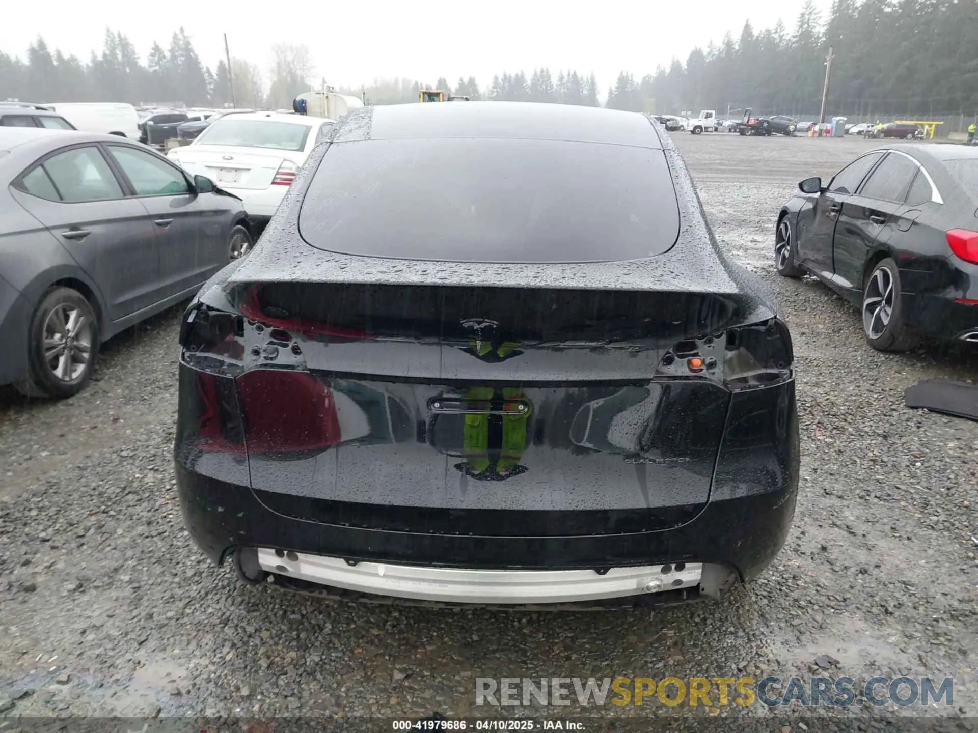17 fotografías del automóvil dañado 7SAYGDEE4RF014480 TESLA MODEL Y 2024