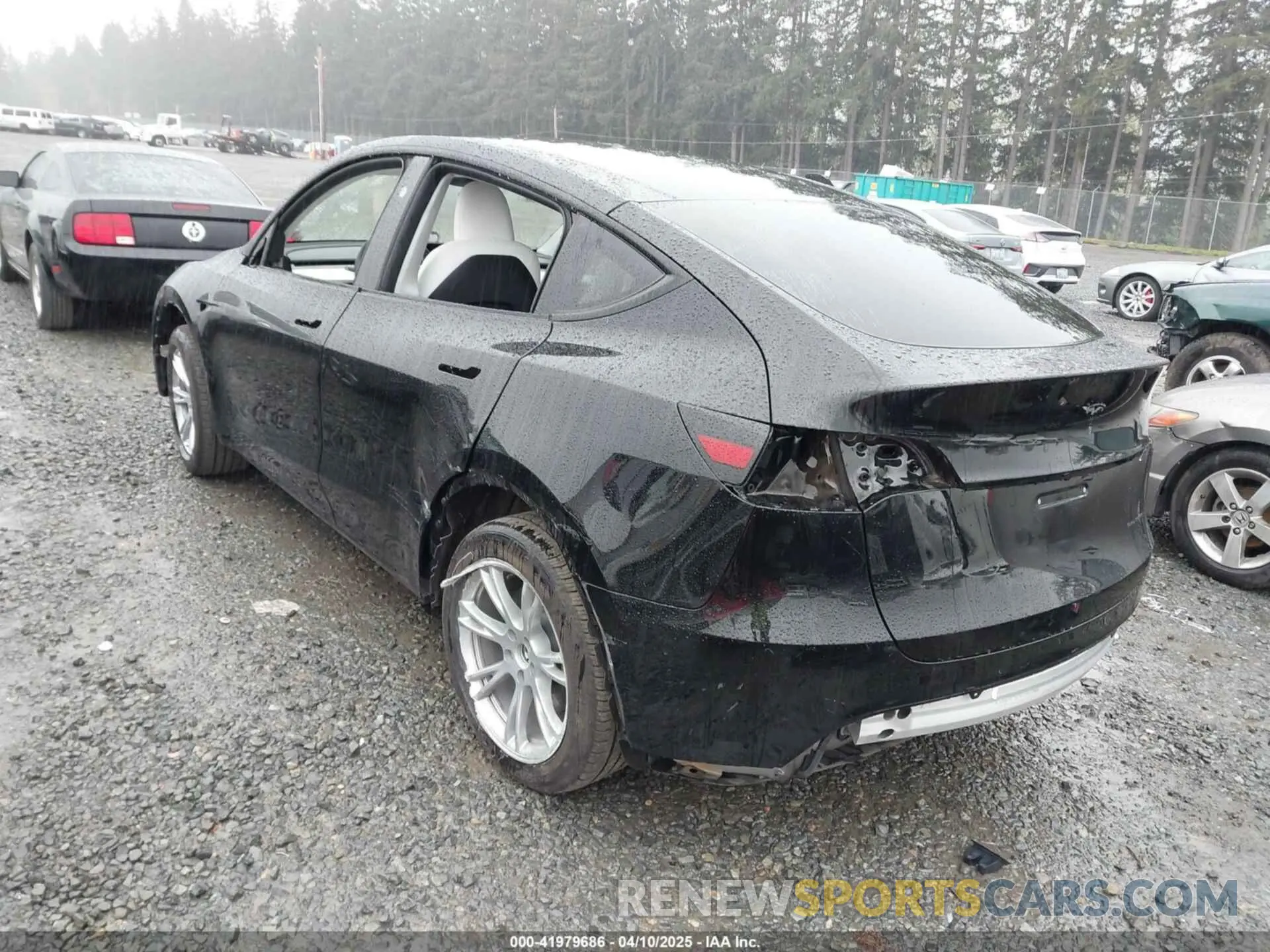 3 fotografías del automóvil dañado 7SAYGDEE4RF014480 TESLA MODEL Y 2024