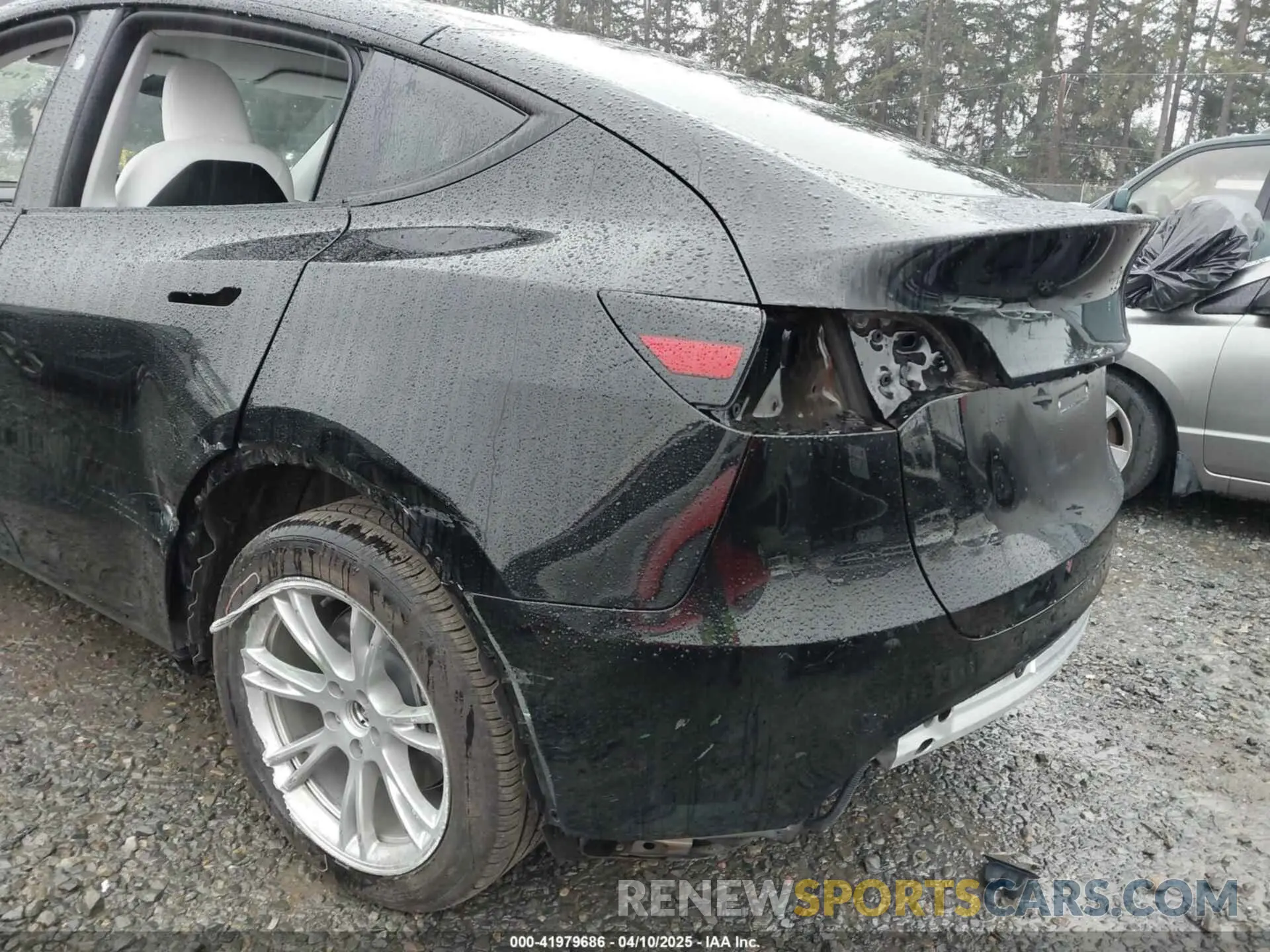 6 fotografías del automóvil dañado 7SAYGDEE4RF014480 TESLA MODEL Y 2024