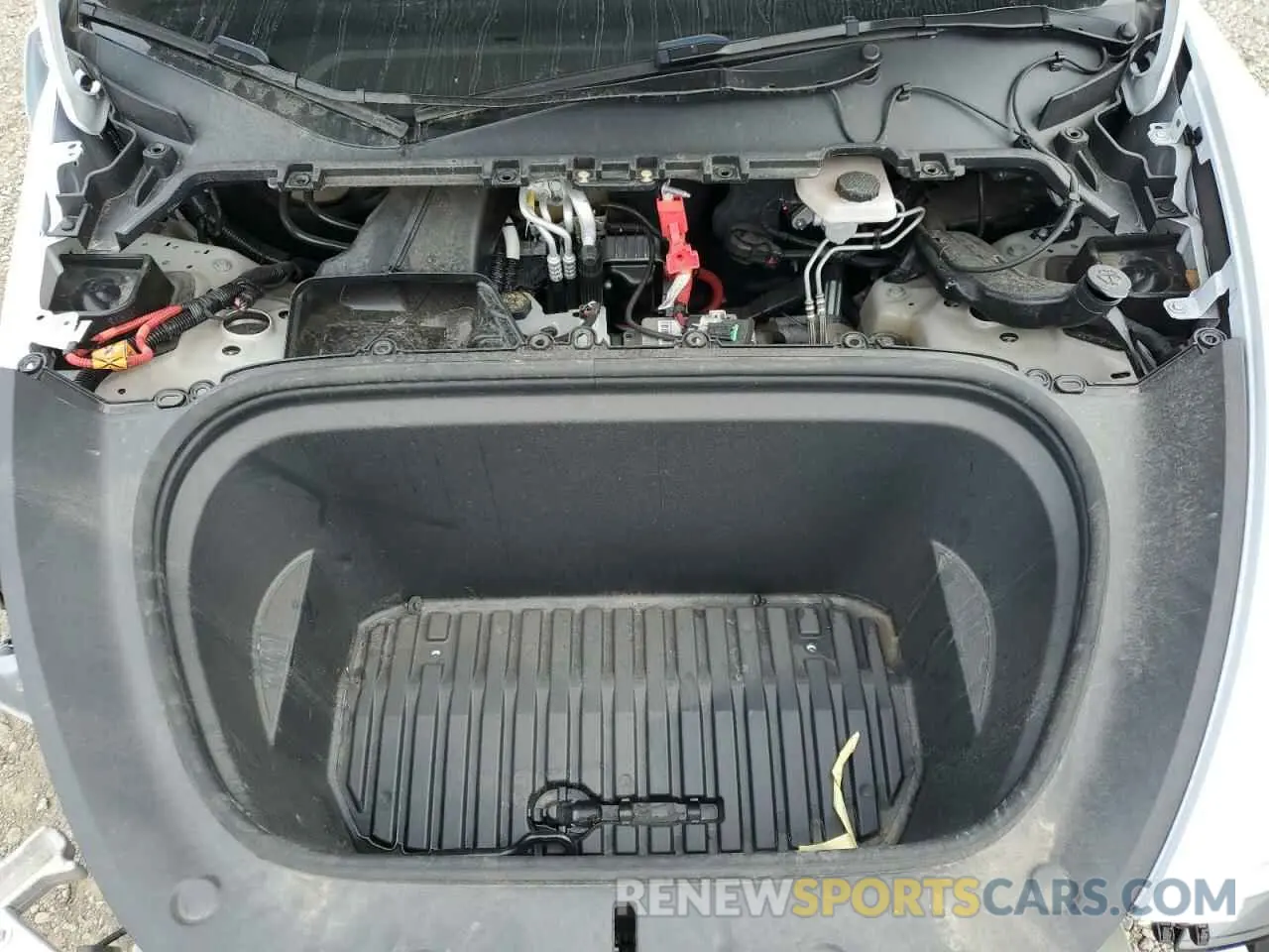 12 fotografías del automóvil dañado 7SAYGDEE4RF082262 TESLA MODEL Y 2024