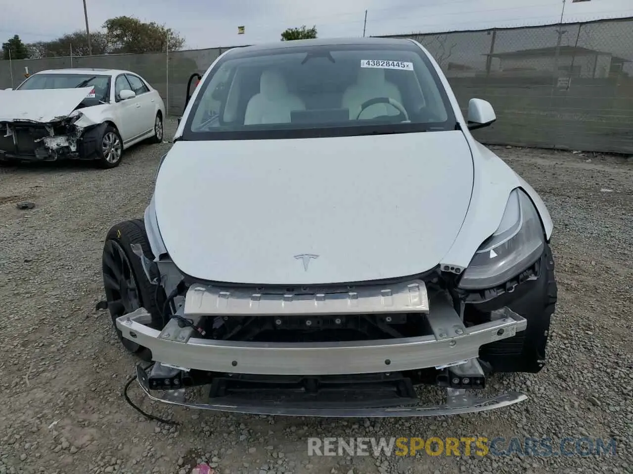 5 fotografías del automóvil dañado 7SAYGDEE4RF082262 TESLA MODEL Y 2024