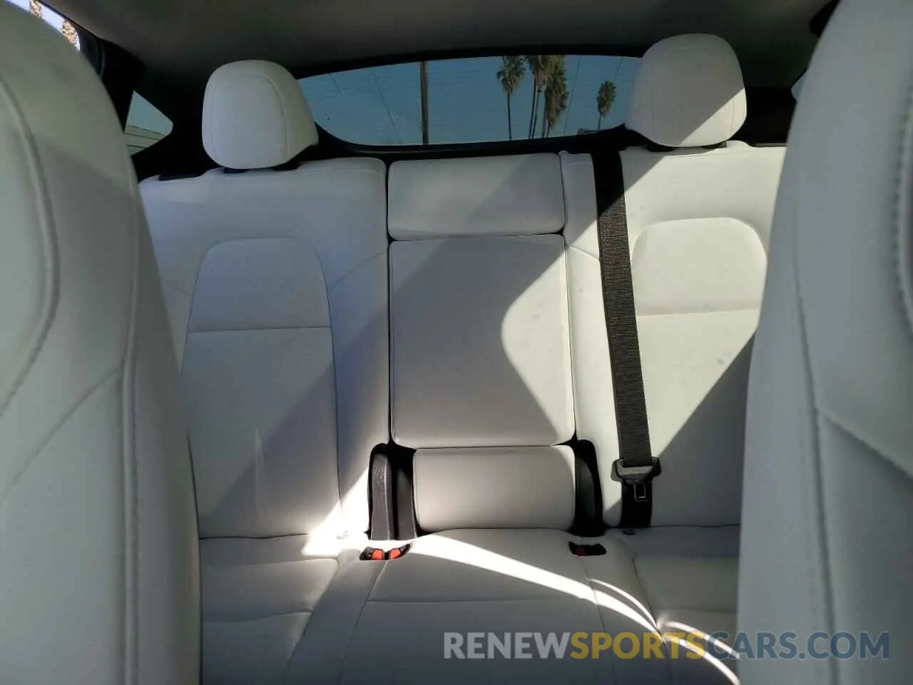 10 fotografías del automóvil dañado 7SAYGDEE4RF128933 TESLA MODEL Y 2024