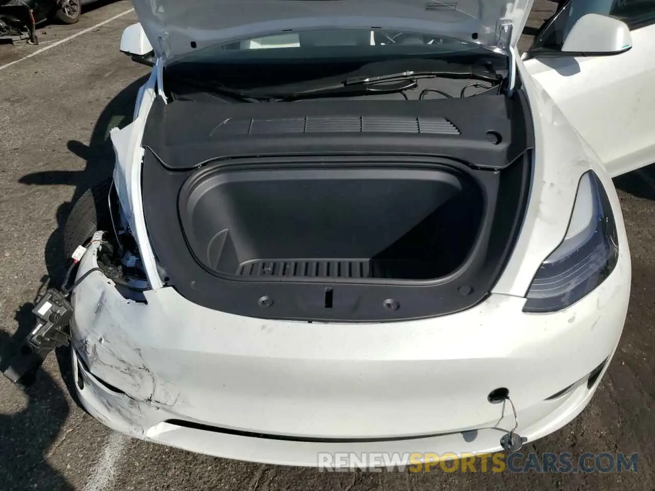 12 fotografías del automóvil dañado 7SAYGDEE4RF128933 TESLA MODEL Y 2024