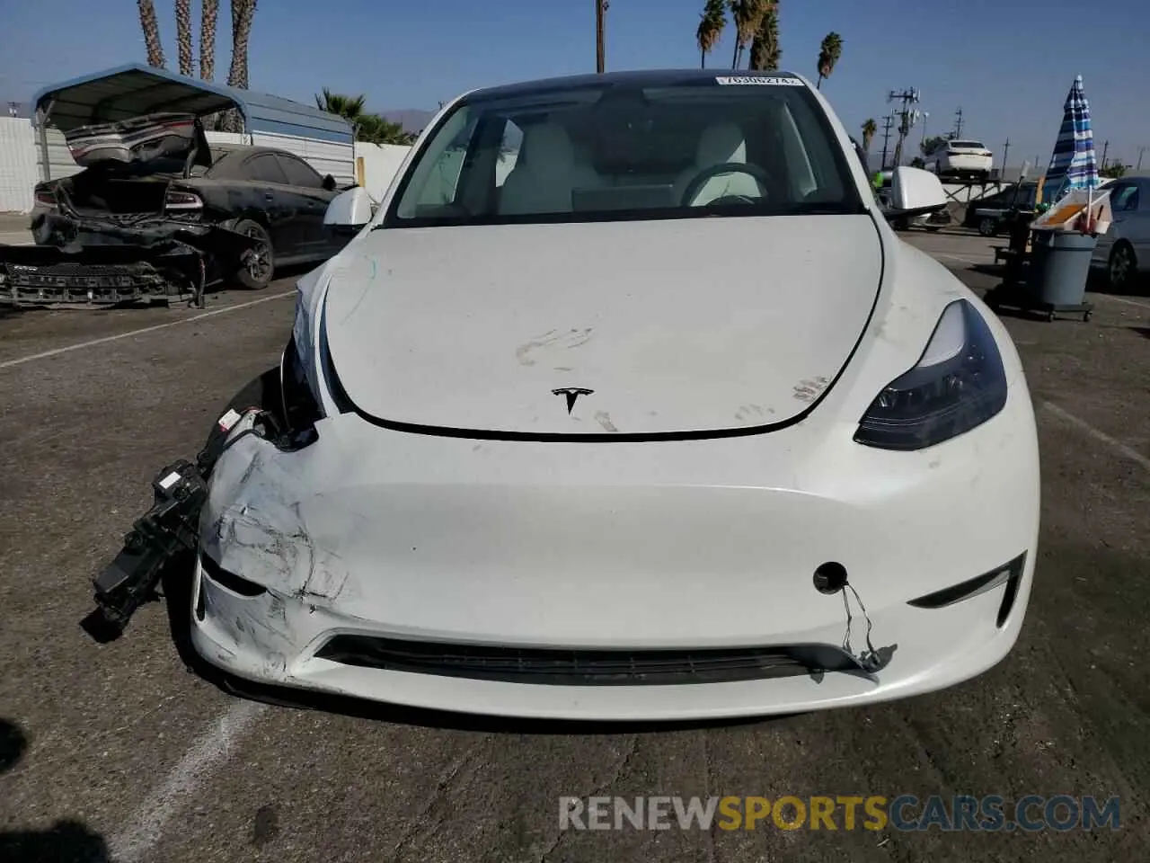 5 fotografías del automóvil dañado 7SAYGDEE4RF128933 TESLA MODEL Y 2024