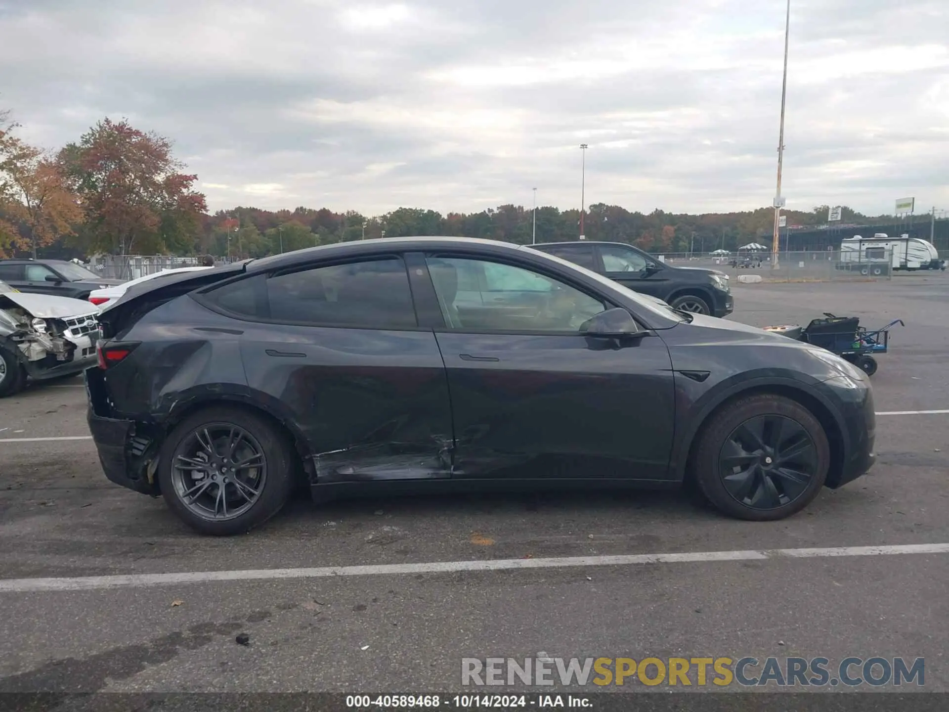 12 fotografías del automóvil dañado 7SAYGDEE4RF159521 TESLA MODEL Y 2024