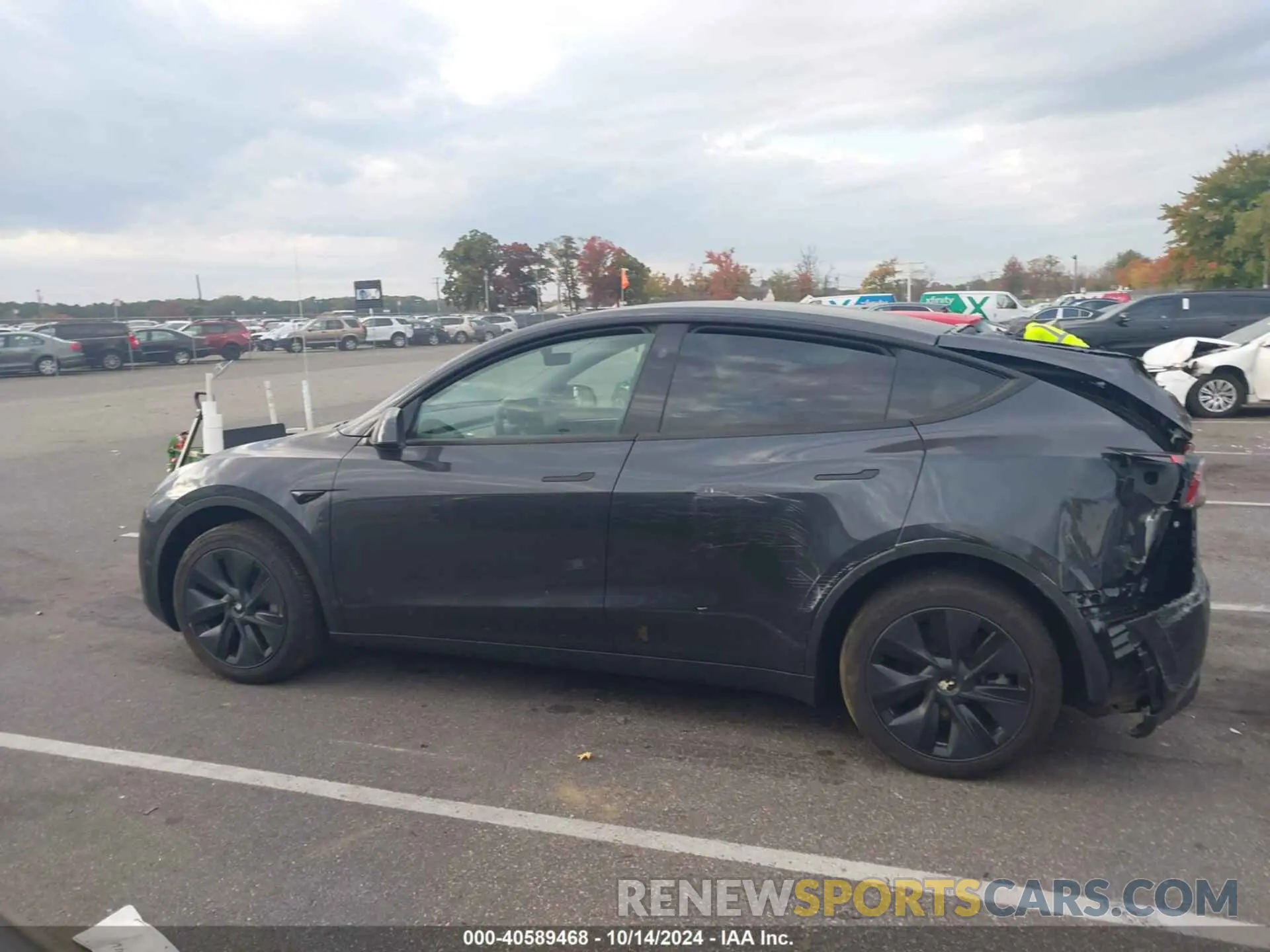 13 fotografías del automóvil dañado 7SAYGDEE4RF159521 TESLA MODEL Y 2024