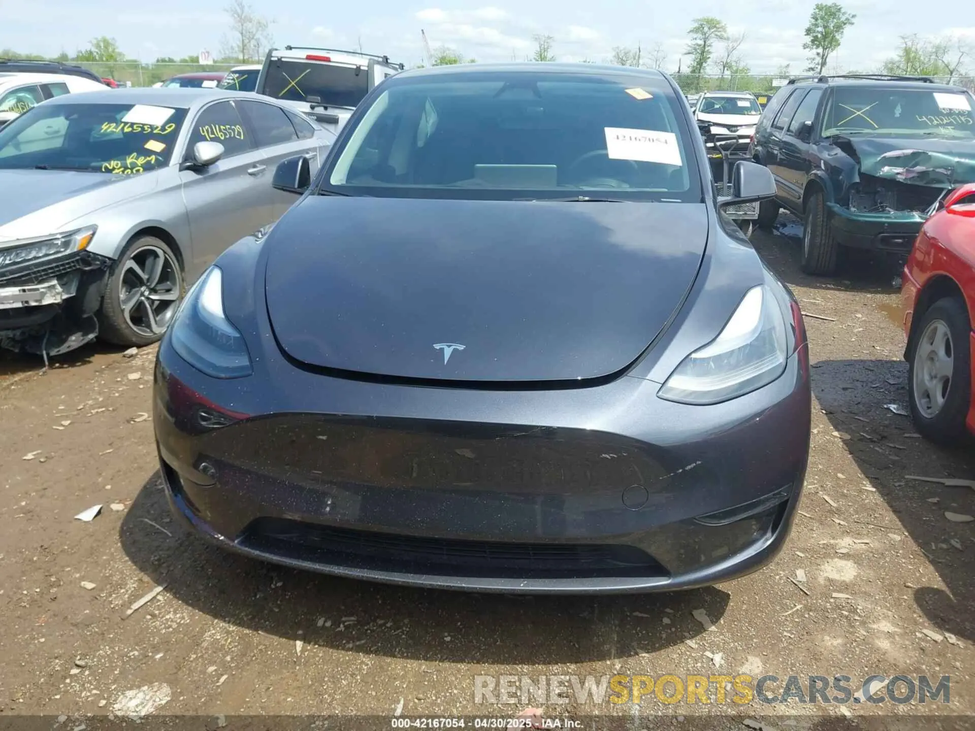 13 fotografías del automóvil dañado 7SAYGDEE5RA224759 TESLA MODEL Y 2024
