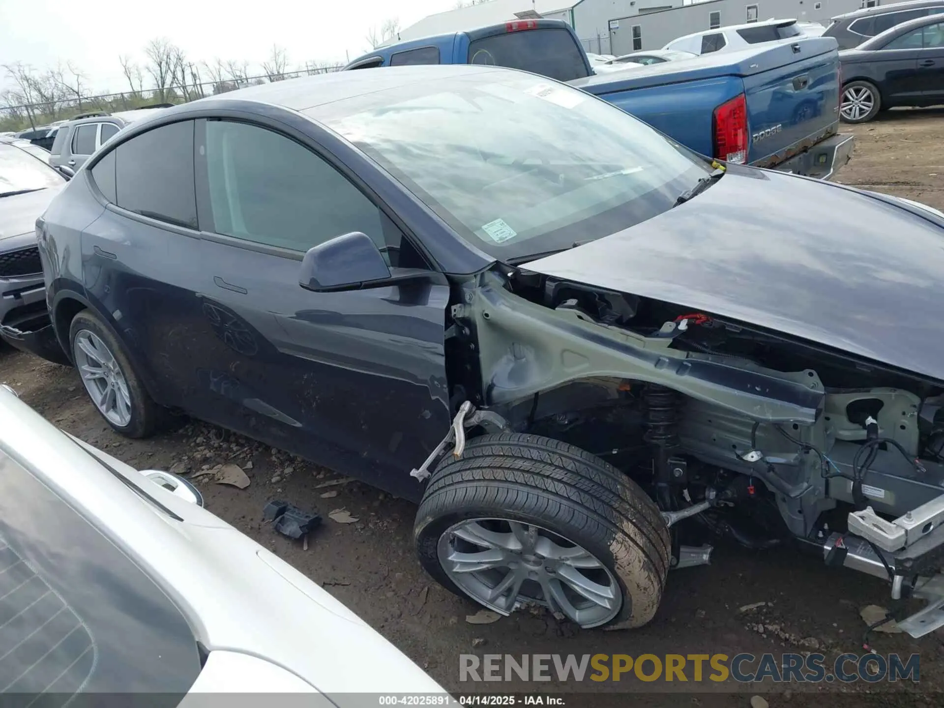14 fotografías del automóvil dañado 7SAYGDEE5RA226317 TESLA MODEL Y 2024