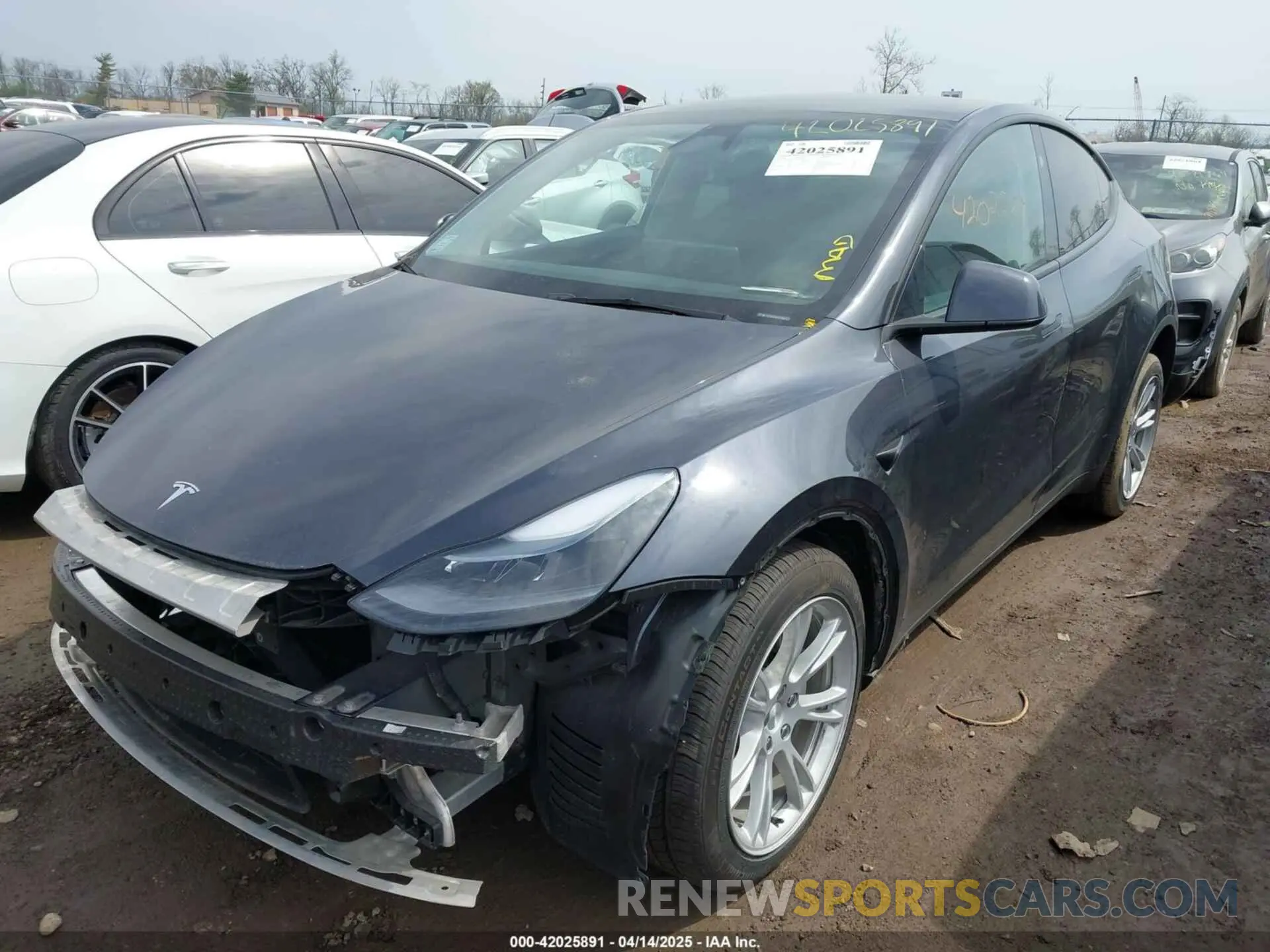2 fotografías del automóvil dañado 7SAYGDEE5RA226317 TESLA MODEL Y 2024