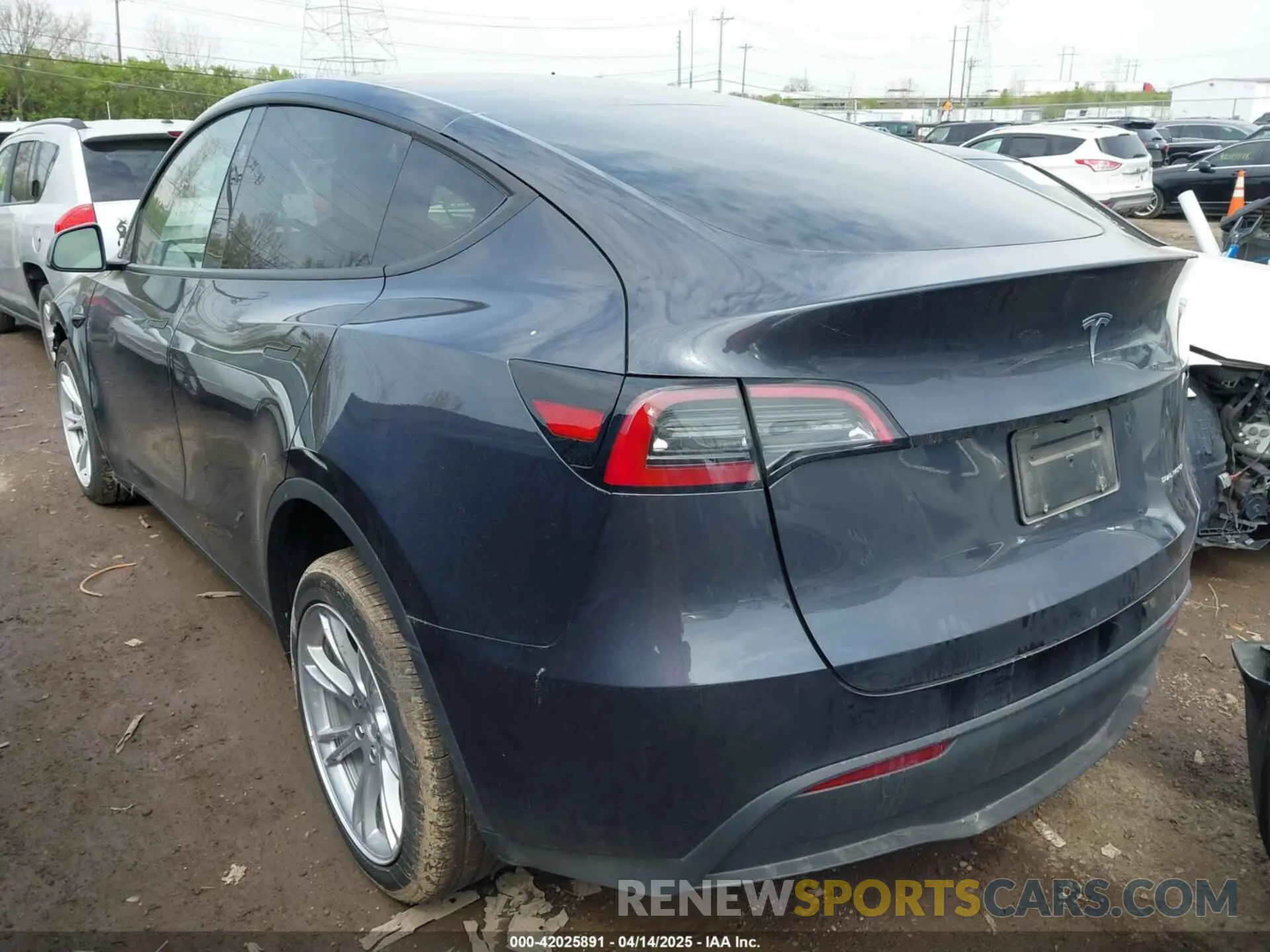 3 fotografías del automóvil dañado 7SAYGDEE5RA226317 TESLA MODEL Y 2024