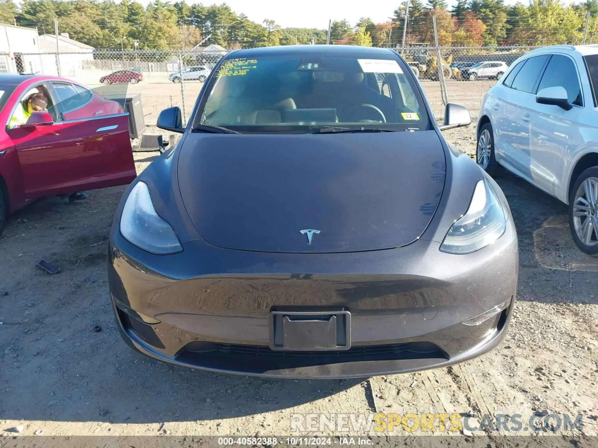 13 fotografías del automóvil dañado 7SAYGDEE5RA247944 TESLA MODEL Y 2024