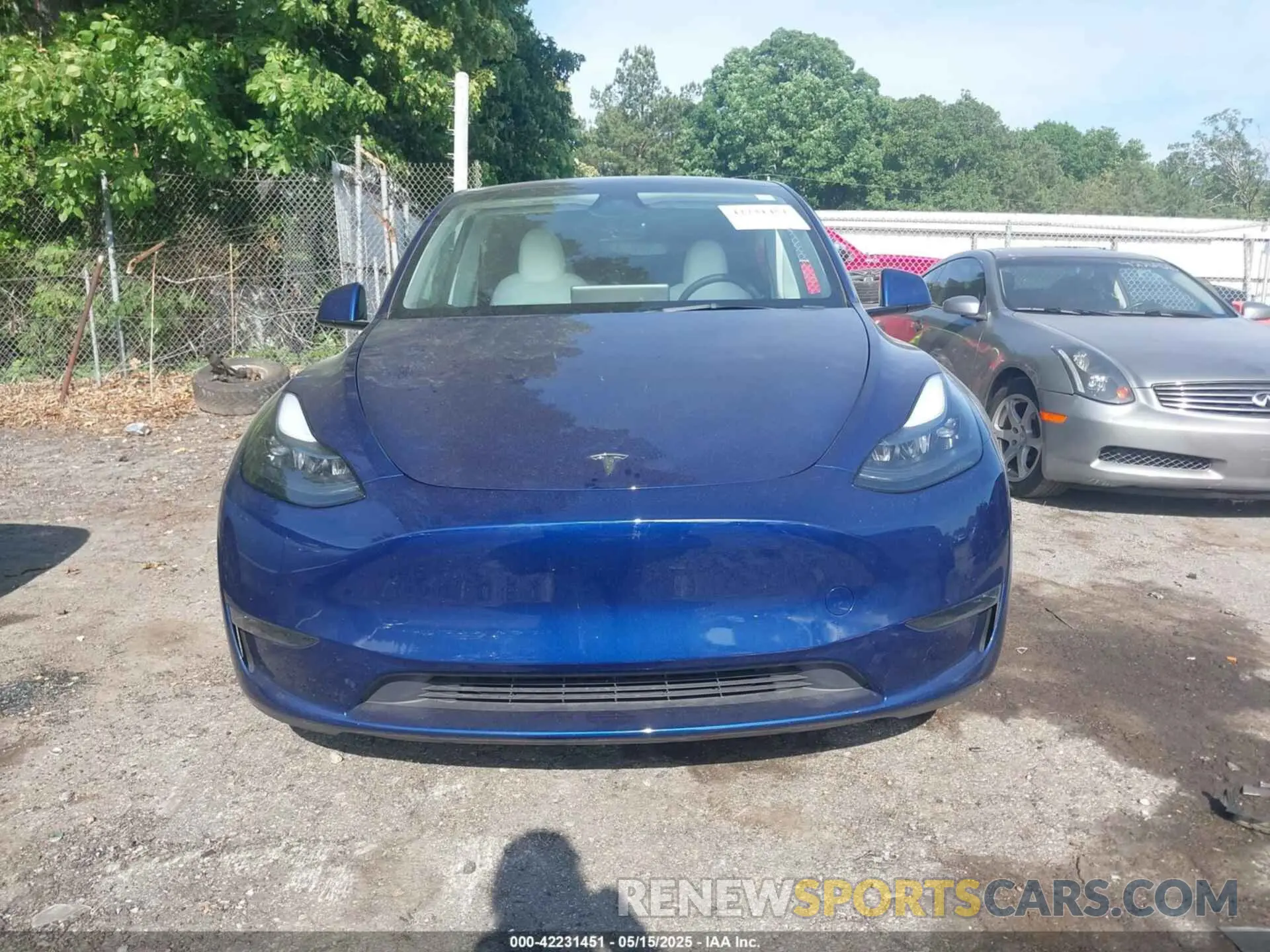 12 fotografías del automóvil dañado 7SAYGDEE5RA285075 TESLA MODEL Y 2024