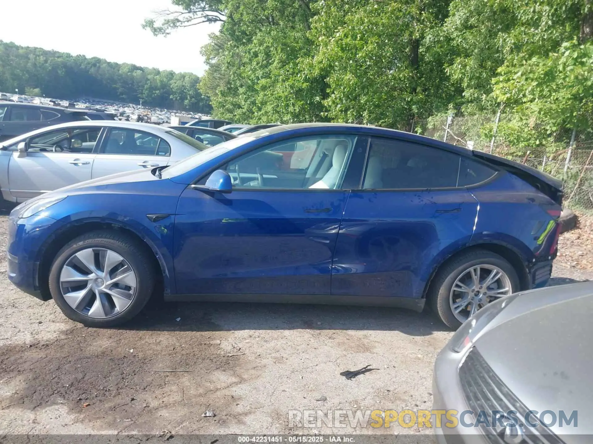 14 fotografías del automóvil dañado 7SAYGDEE5RA285075 TESLA MODEL Y 2024