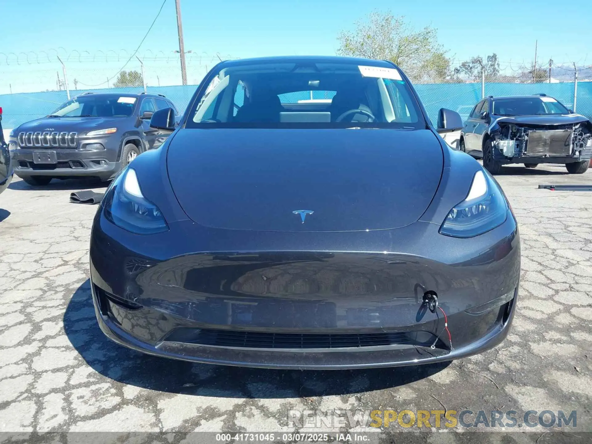 13 fotografías del automóvil dañado 7SAYGDEE5RF003424 TESLA MODEL Y 2024