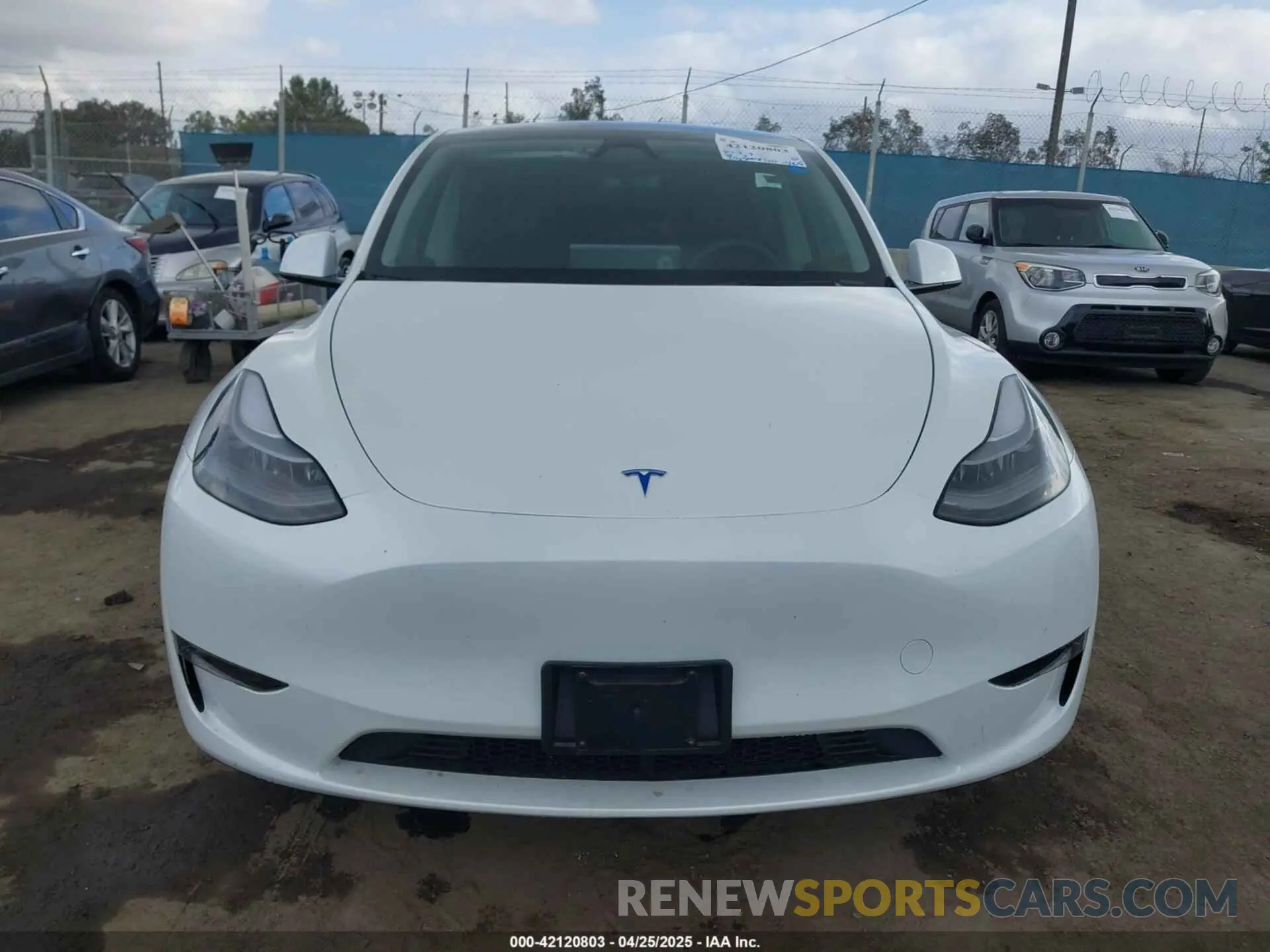 12 fotografías del automóvil dañado 7SAYGDEE5RF036018 TESLA MODEL Y 2024