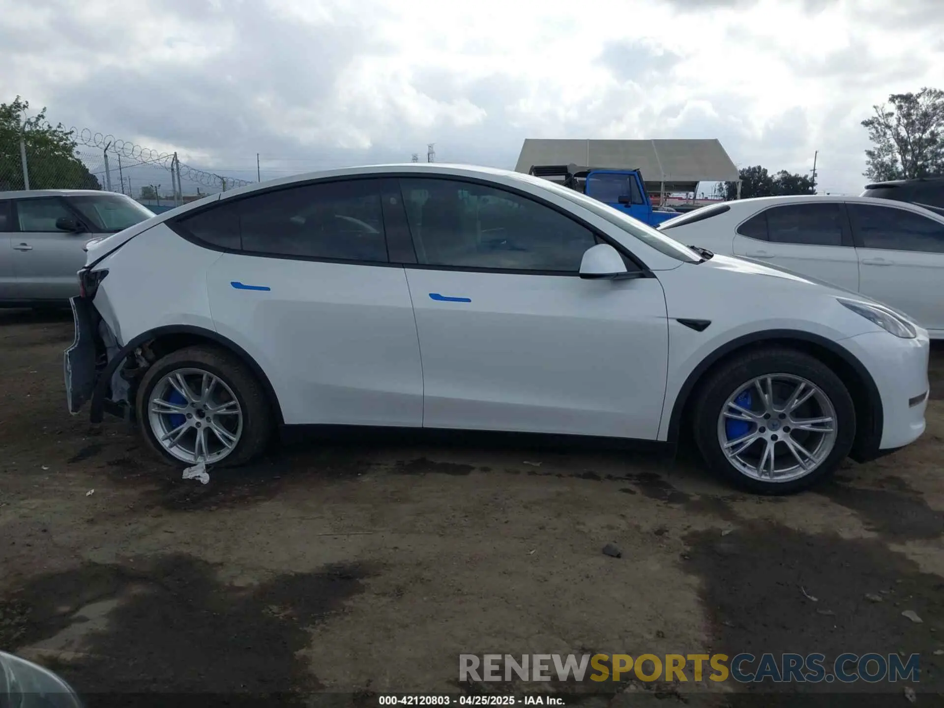 13 fotografías del automóvil dañado 7SAYGDEE5RF036018 TESLA MODEL Y 2024
