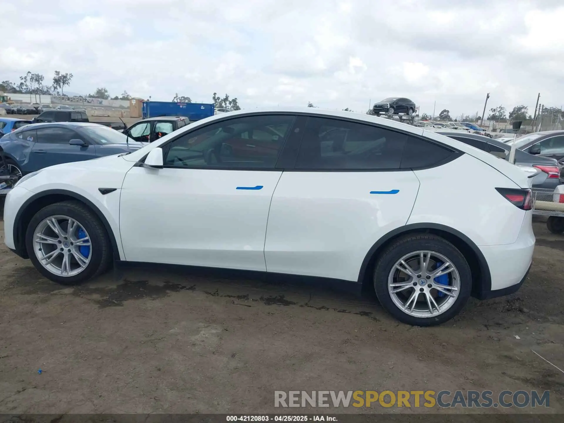 14 fotografías del automóvil dañado 7SAYGDEE5RF036018 TESLA MODEL Y 2024