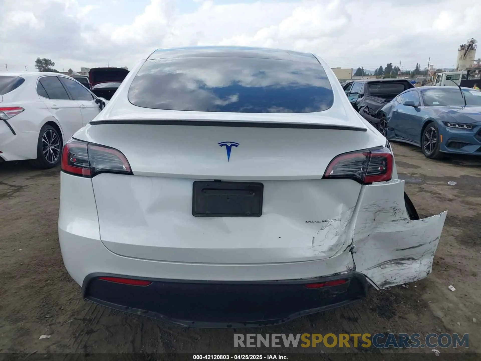 16 fotografías del automóvil dañado 7SAYGDEE5RF036018 TESLA MODEL Y 2024