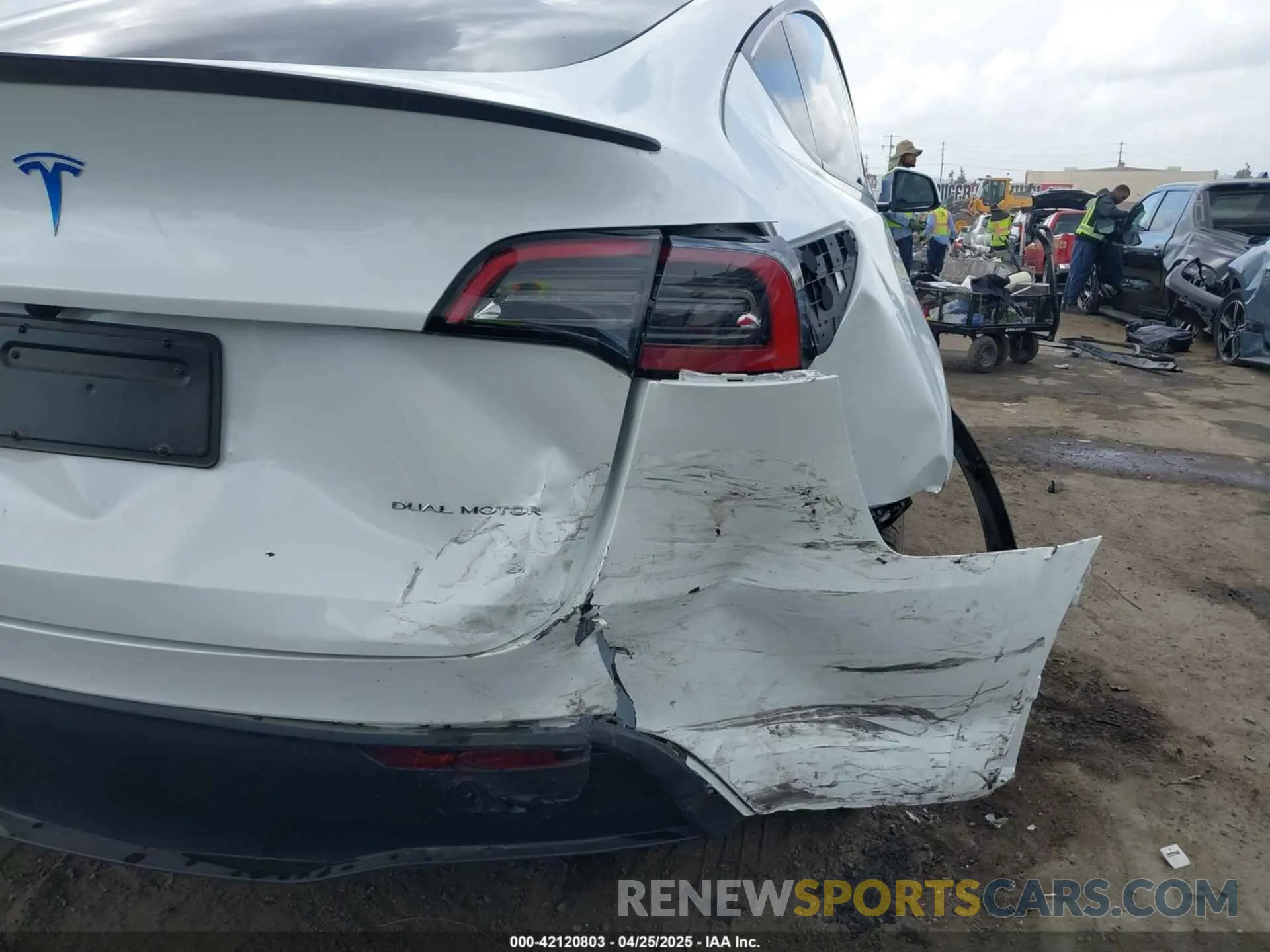 19 fotografías del automóvil dañado 7SAYGDEE5RF036018 TESLA MODEL Y 2024