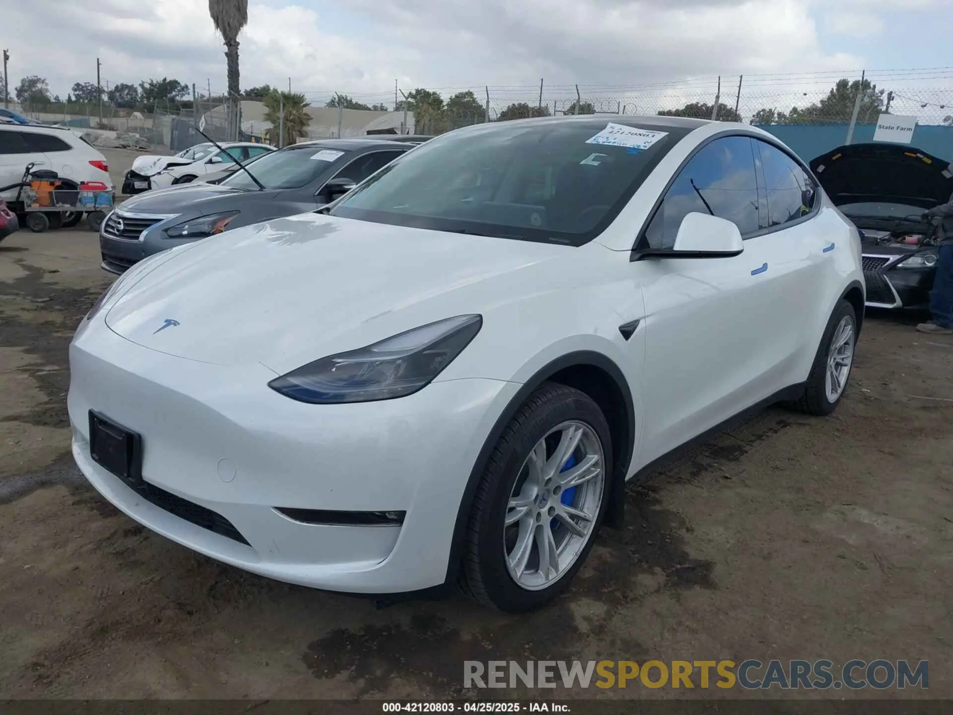 2 fotografías del automóvil dañado 7SAYGDEE5RF036018 TESLA MODEL Y 2024
