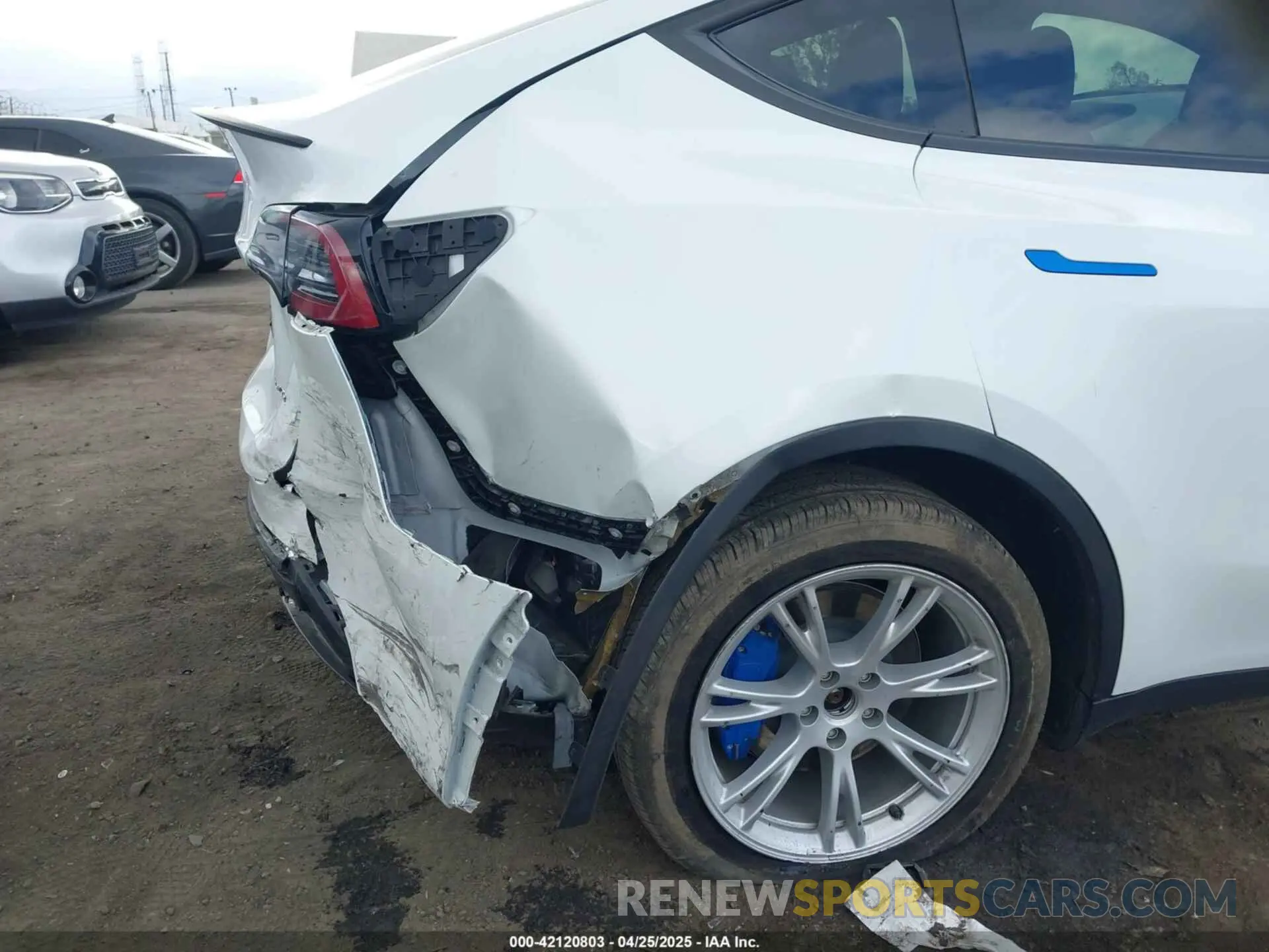 20 fotografías del automóvil dañado 7SAYGDEE5RF036018 TESLA MODEL Y 2024