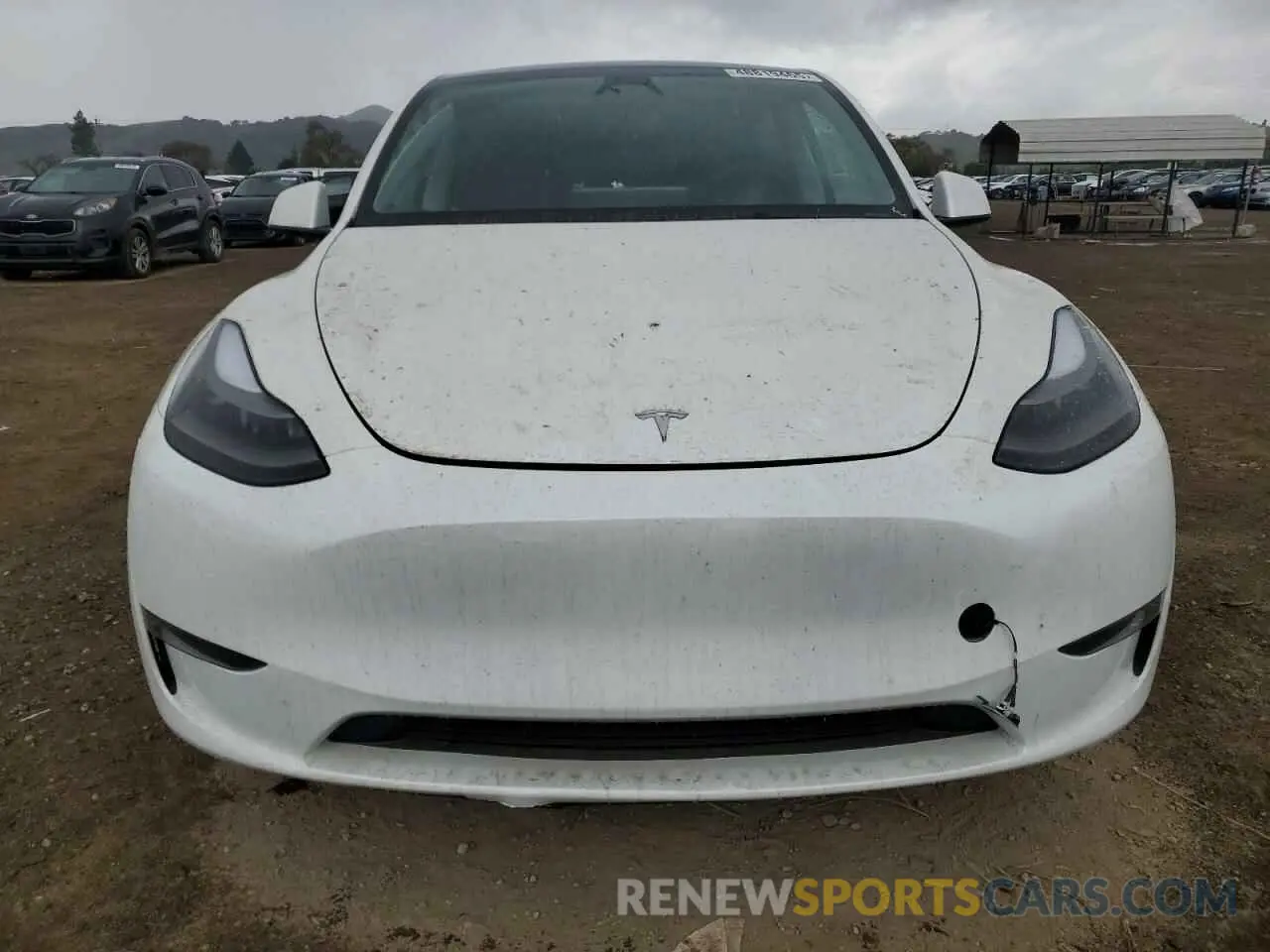 5 fotografías del automóvil dañado 7SAYGDEE5RF075756 TESLA MODEL Y 2024
